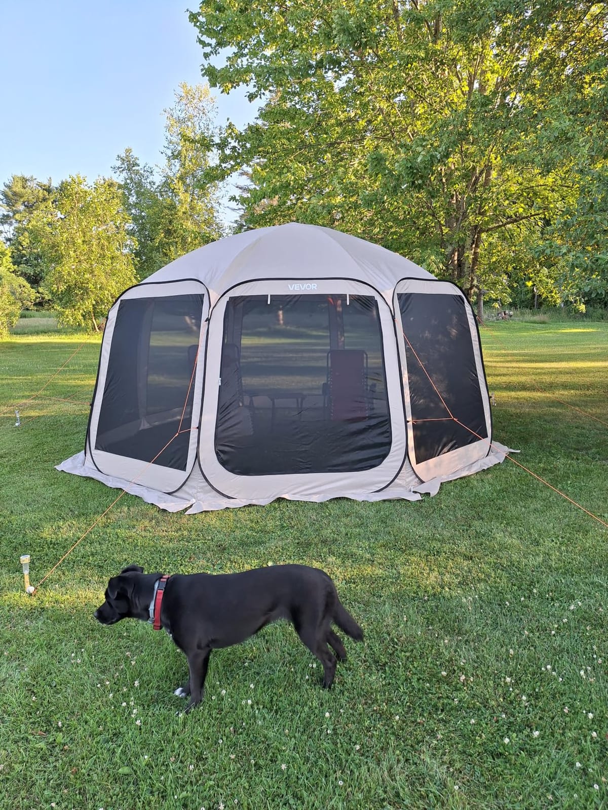 VEVOR SUV Tailgate Tent, 6 x 6 ft Pop-Up Screen House Canopy for 4-6 Person, Portable Screened Shelter with Carry Bag, for Car Camping, Backyard, Patio, Outdoor Activities customer photo 1