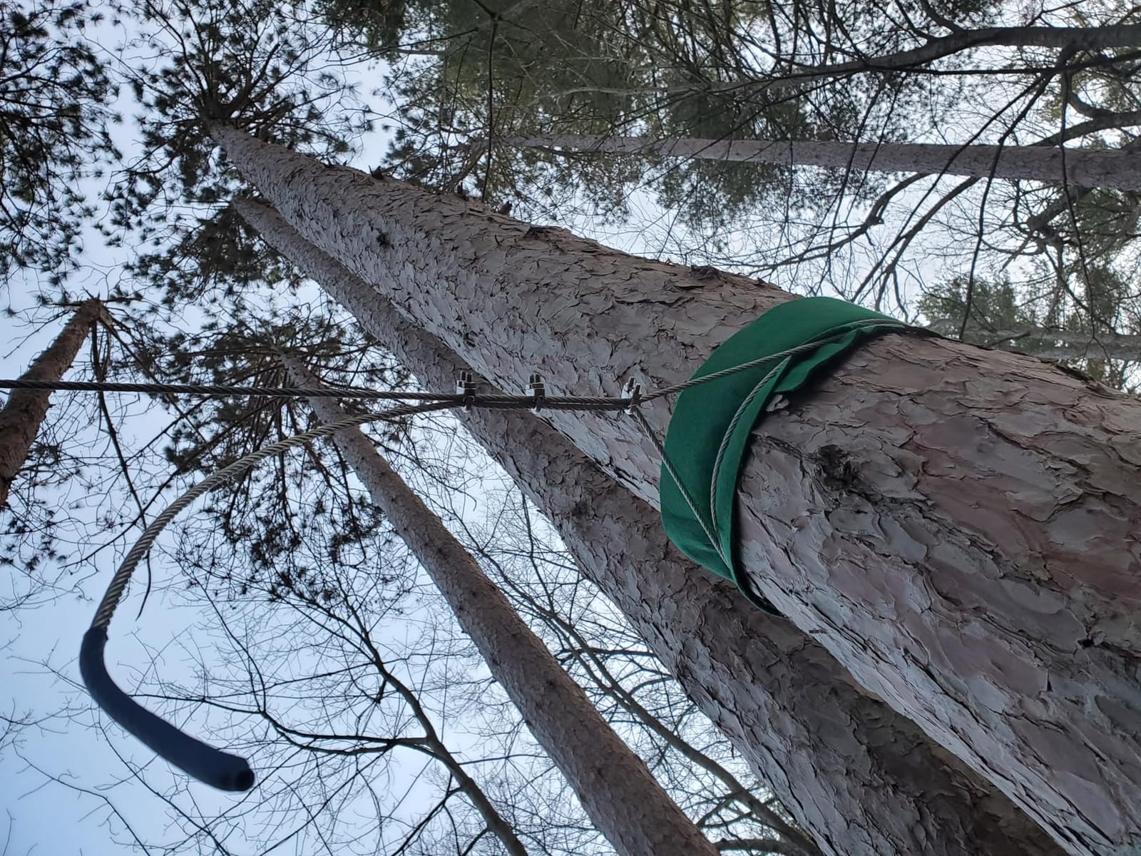 FAHKNS Zip Lines for Kids and Adults Outdoor, 300FT Rust Proof Zip Line Kit | Up to 400LBS|Removable Trolley|6FT Spring Brake|Quick Tighten System|Easy-to-install customer photo 2