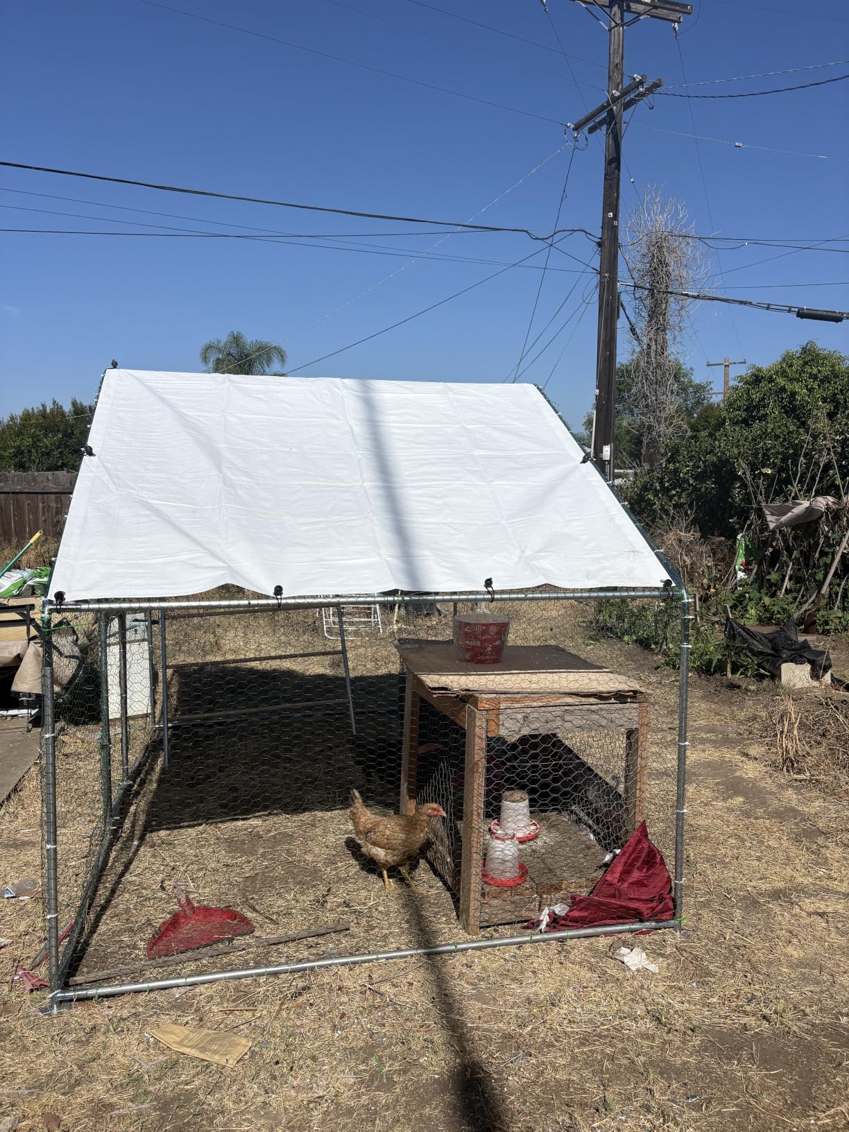 UDPATIO Large Metal Chicken Coop Walk in & Run- Heavy Duty Outdoor Poultry Run with Protective Cover for 15-25 Chickens, Ducks, or Rabbits | Predator-Proof & Weather-Resistant | Double Feed Door UV-Resistant Cover Heavy Duty Outdoor Cage for Bird Duck Rabbit Hen 10-20 Silver customer photo 1