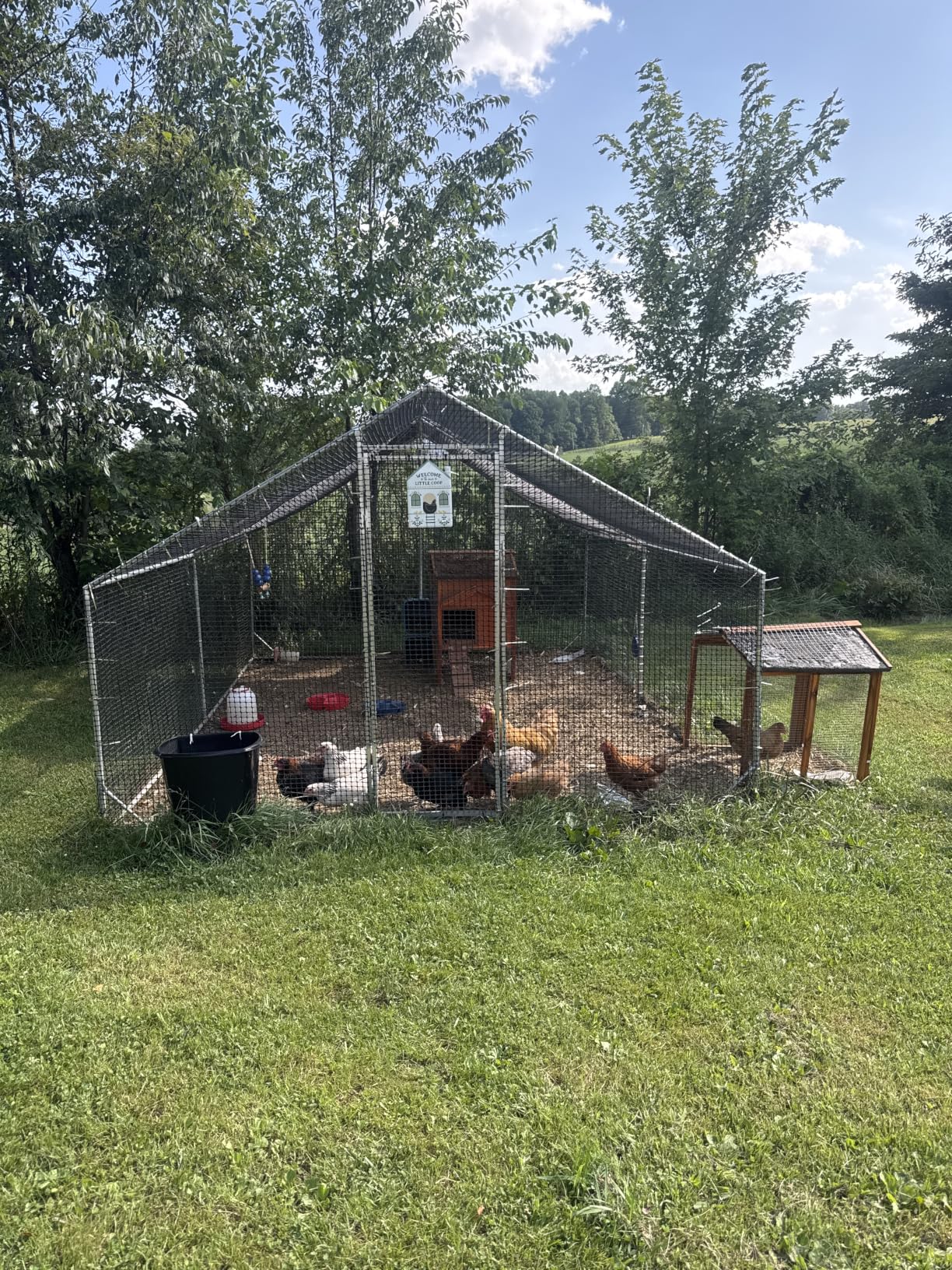 CAMMOO Metal Chicken Coop, 19.7x9.8x6.6ft Chicken Run for Yard with Cover | Upgrade Double Lock & Tough Mesh, Stainless Steel Ties, Easy Assembly, Chicken Pen for Ducks, Rabbits customer photo 1