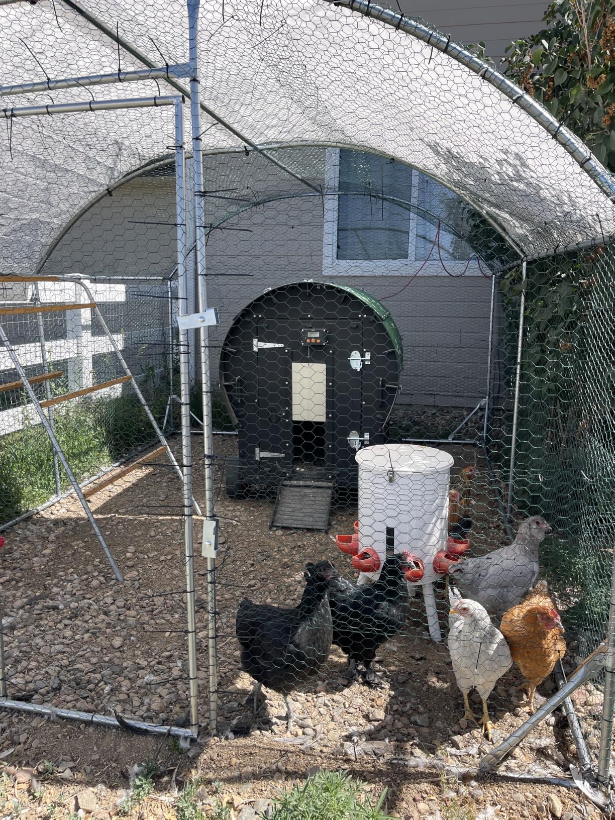 Quictent Essential Series 12x9x6.6ft Metal Chicken Coop Run with Climbing Ladder, Walk-in Outdoor Poultry Cage with PVC Coated Chicken Wire, Hen Duck Rabbit Farm House, Waterproof Anti-UV Cover customer photo 1