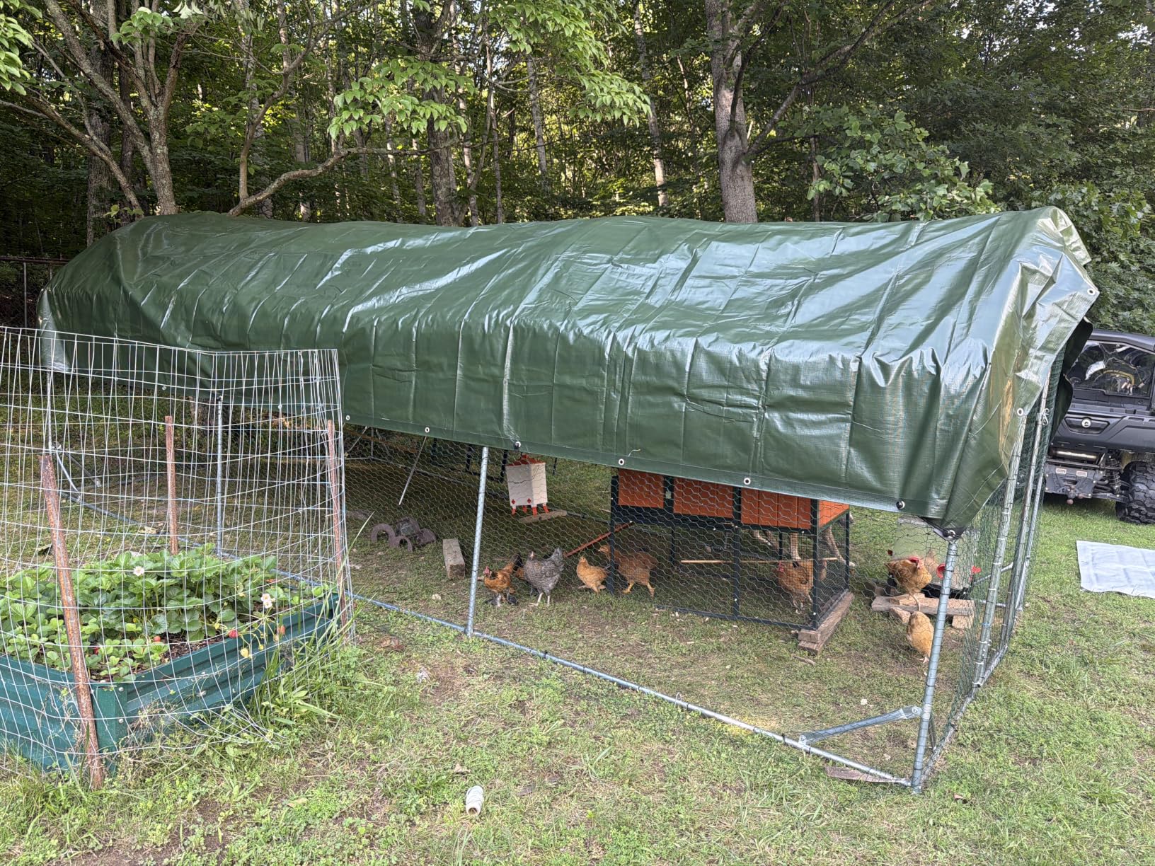 Quictent Essential Series 12x9x6.6ft Metal Chicken Coop Run with Climbing Ladder, Walk-in Outdoor Poultry Cage with PVC Coated Chicken Wire, Hen Duck Rabbit Farm House, Waterproof Anti-UV Cover customer photo 2