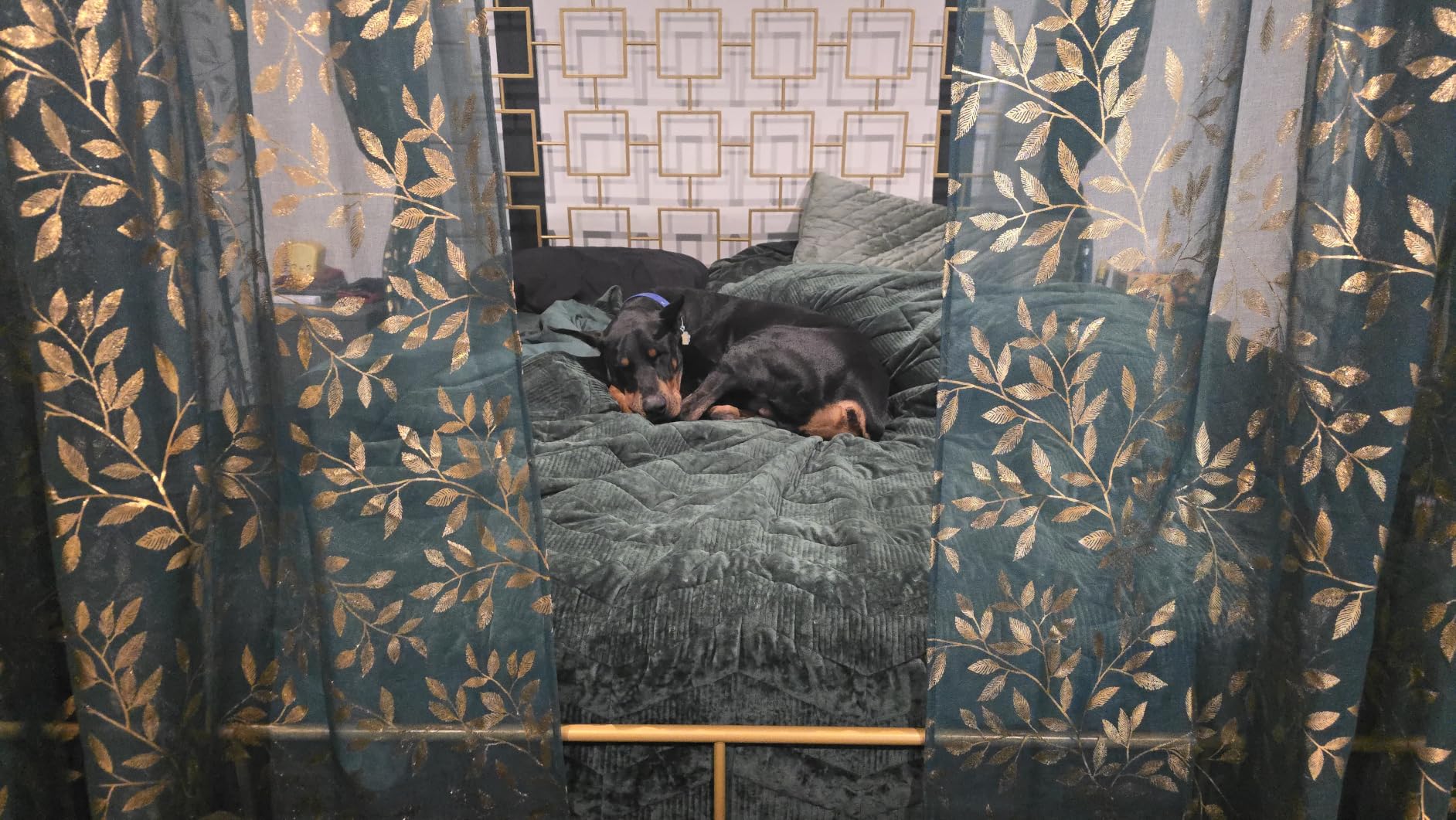 SAMTRA King Canopy Bed Frame Black customer photo 1