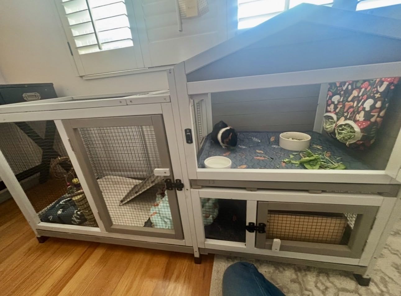 2 Story Large Rabbit Hutch Indoor with 2 Deeper Pull-Out Trays, Wooden Rabbit Cage with 4 Lockable Wheels, Ramp, Chew-Anti Metal Strip for Rabbit, (47
