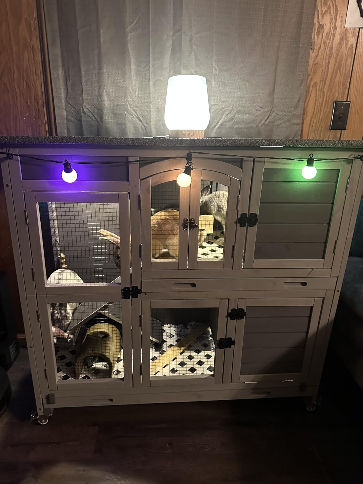 2-Story Rabbit Hutch on Wheels Indoor Outdoor Bunny Cage with Run | Weatherproof Asphalt Roof | Leakproof Trays | 5 Access Doors | Fits 1-2 Rabbits or Guinea Pigs | Easy Clean & Move customer photo 2