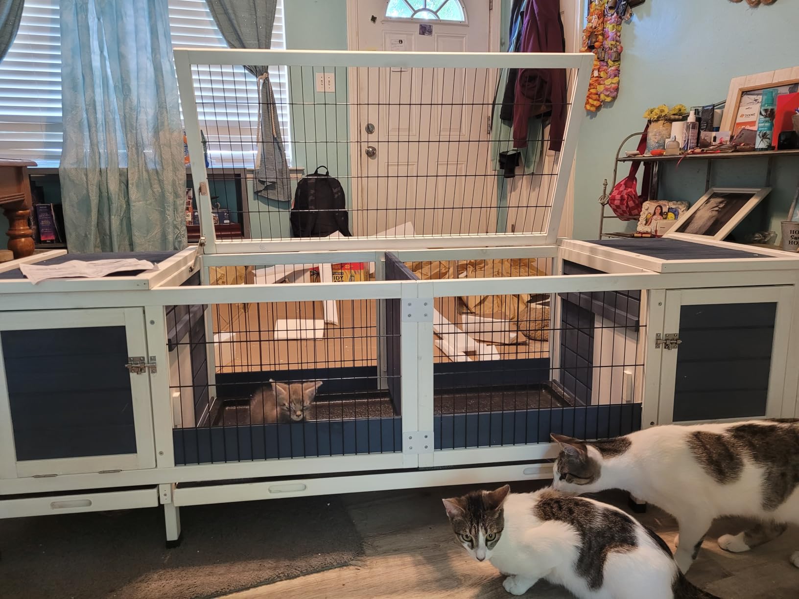 Rabbit Cage Outdoor Indoor, Plastic Bunny Cage Guinea Pig Cages with Run customer photo 1