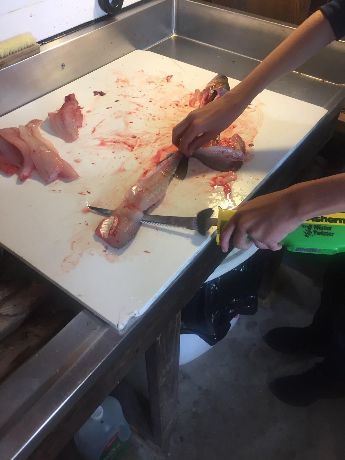 Mister Twister 120V Electric Knife (Green/Yellow) customer photo 2