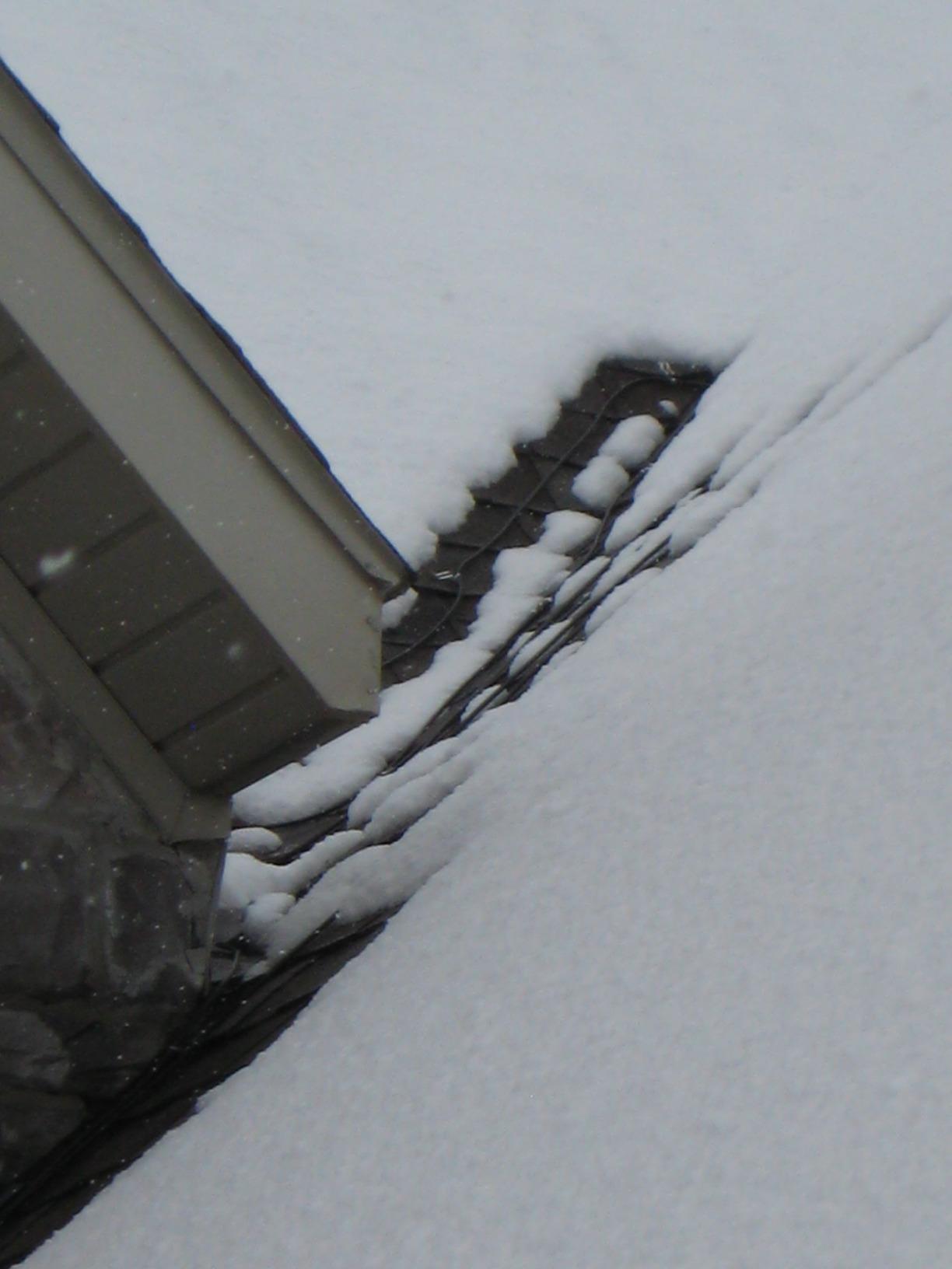 EasyHeat 30' Roof Deicing Cable, For Roof and Gutters, Pre-assembled for Ice and Snow Damage Prevention, 150 Watts customer photo 1