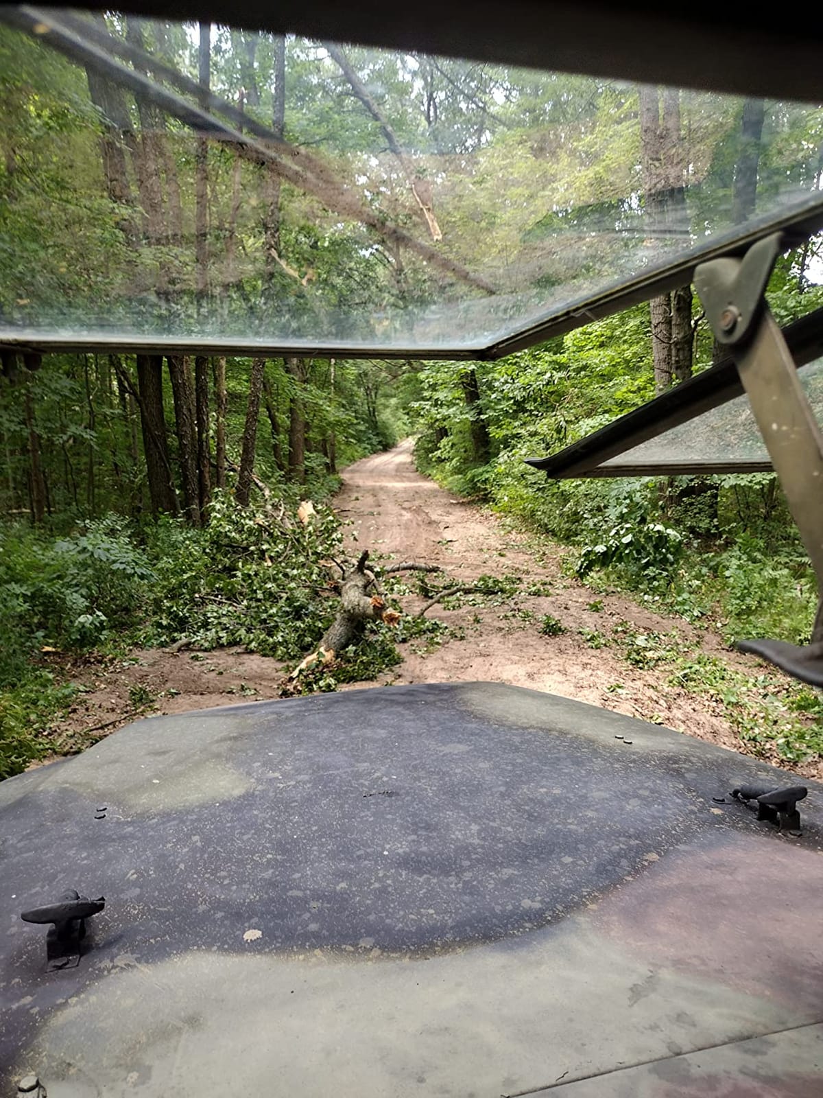 Grip 30 ft x 4 in Heavy Duty Tow Strap - Breaking Capacity: 20,000 lbs - Truck, ATV, Jeep, UTV, Tractor - Emergency, Towing, Offroad - Reinforced Looped Ends customer photo 1
