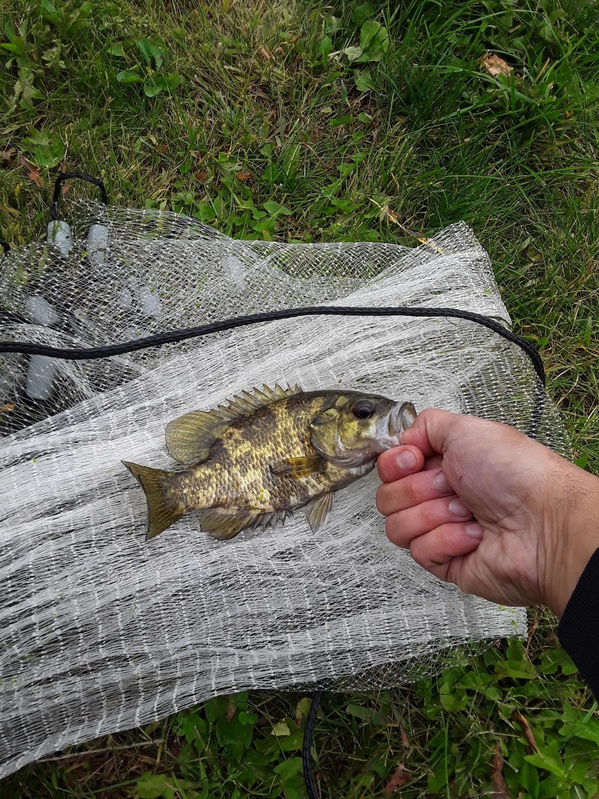 SOUTH BEND Monofilament Cast Net with Storage Box customer photo 1