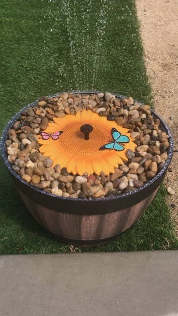 Spoontiques - Garden Décor - Sunflower Stepping Stone - Decorative Stone for Garden customer photo 2