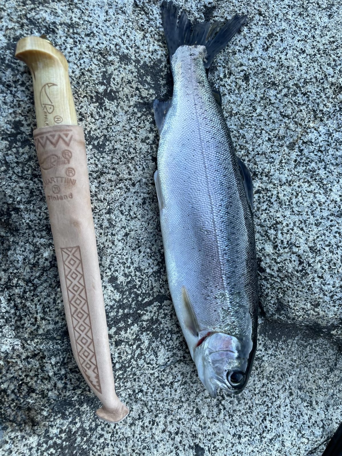 Rapala Fish 'n Fillet Knife, 4 Inch Stainless Steel with Sheath | Panfish, Trout, Walleye customer photo 2