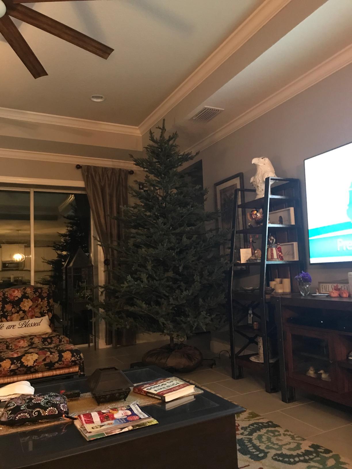 Upright Christmas Tree Storage Bag and Rolling Stand, Up to 9 Ft Tall Trees | Keep Your Fake Artificial Tree Assembled, Hides Under Tree Skirt customer photo 2