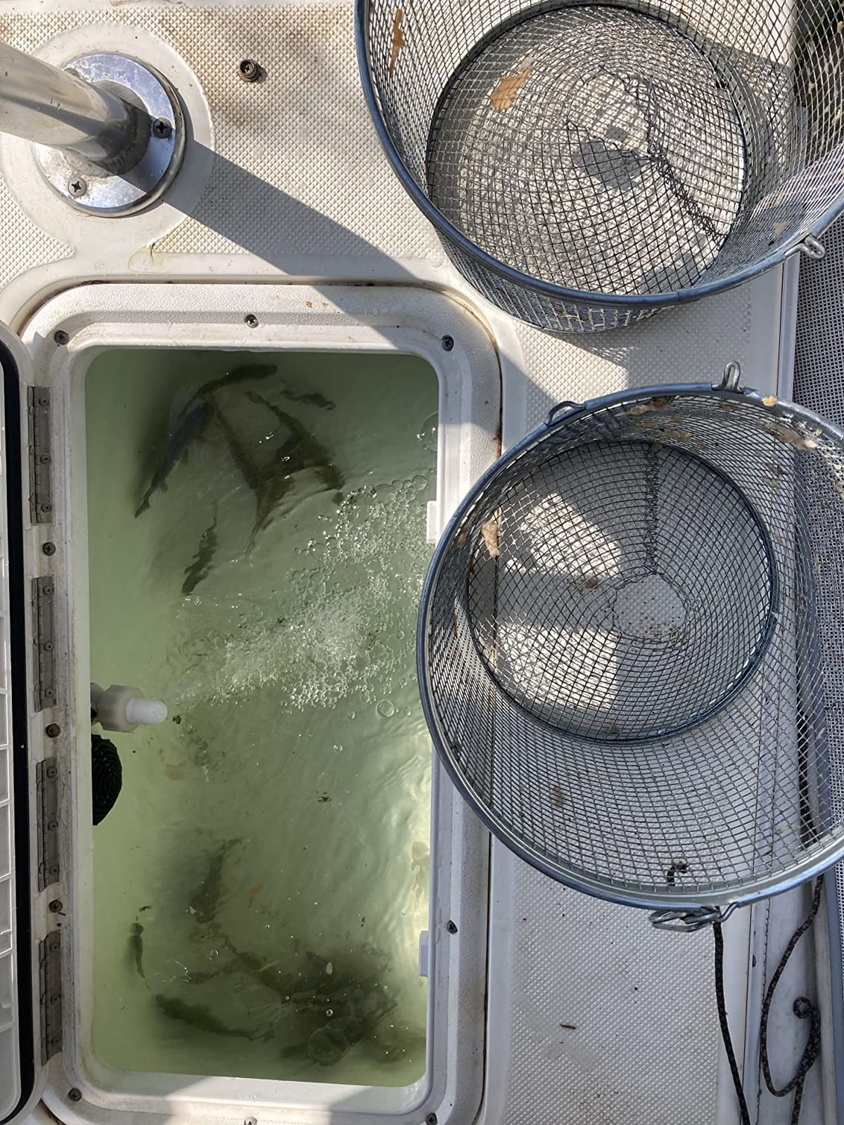 Gee-Feets G-40 Minnow Trap customer photo 1