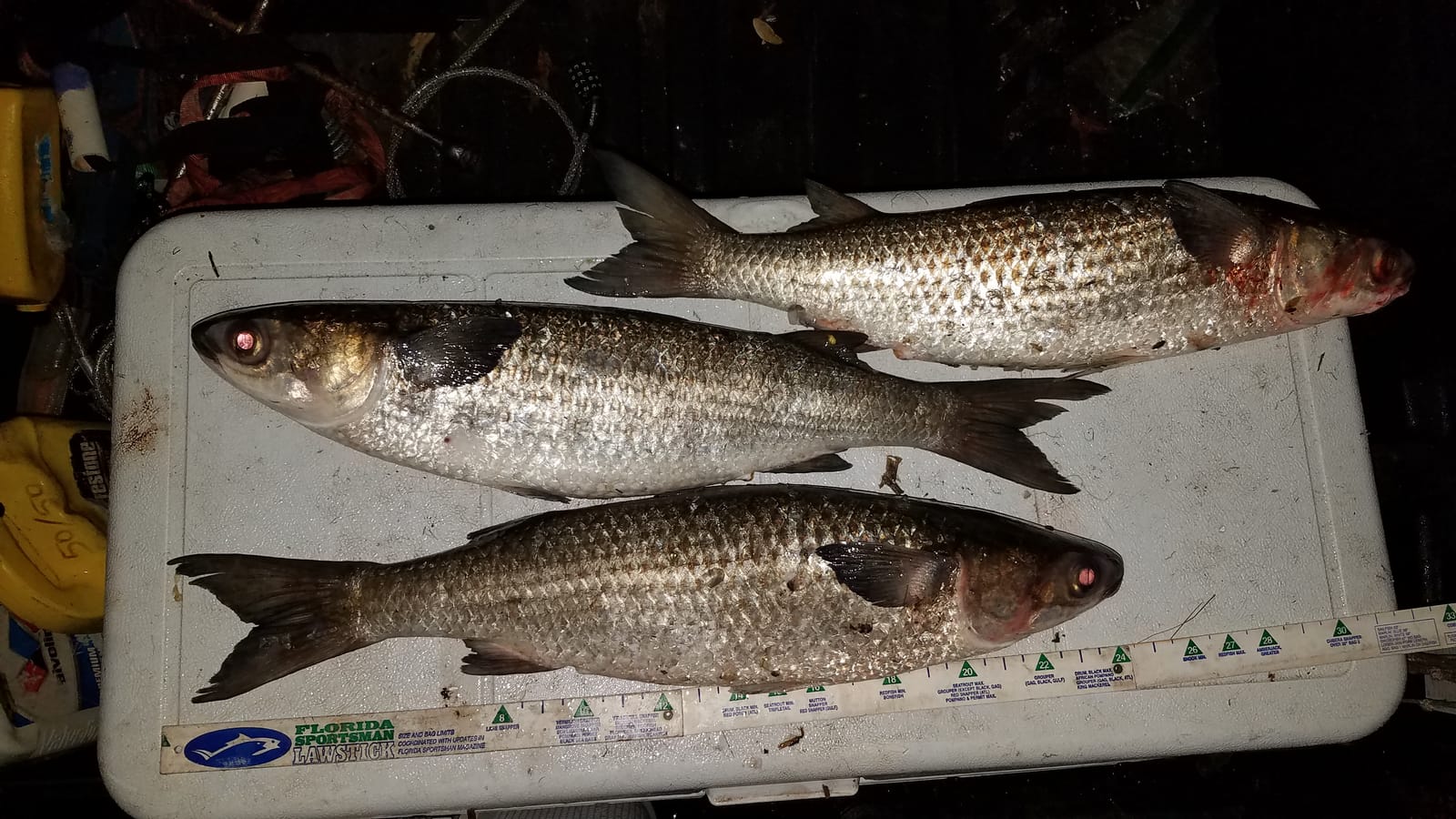 Superior Handmade Mullet Cast Net: 1-1/4
