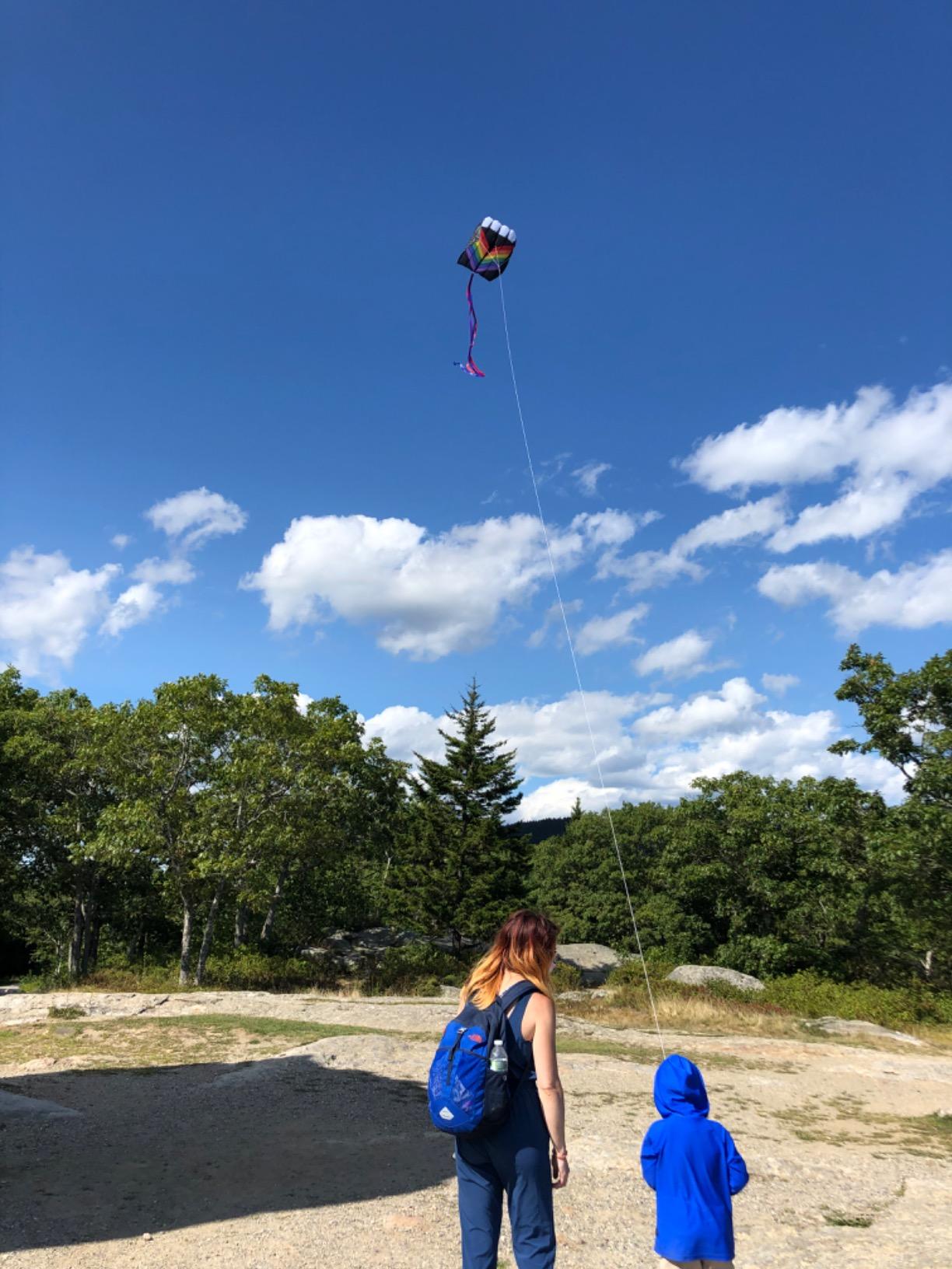 In the Breeze 2980 Patriot Wave 7.5 Parafoil Kite, 28