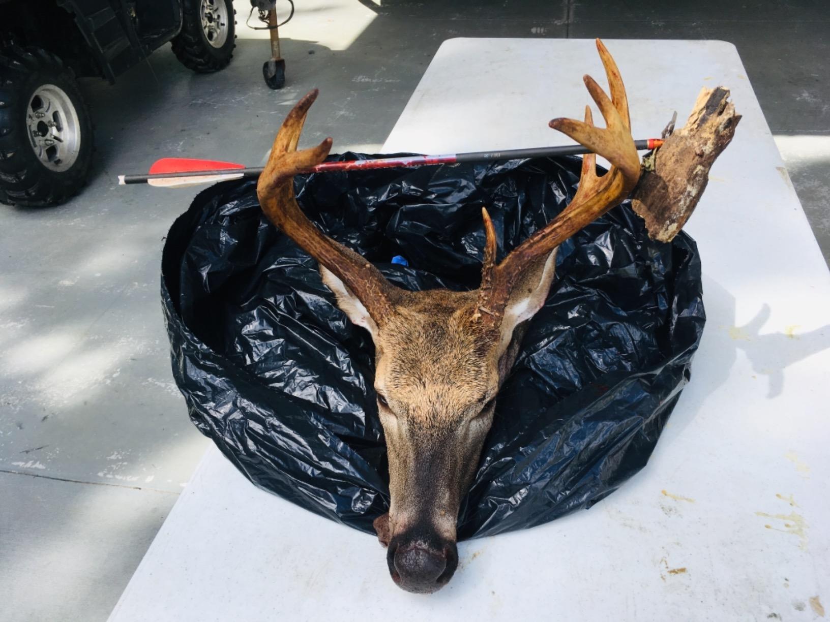 Bloodsport Crossbow Bolts customer photo 2