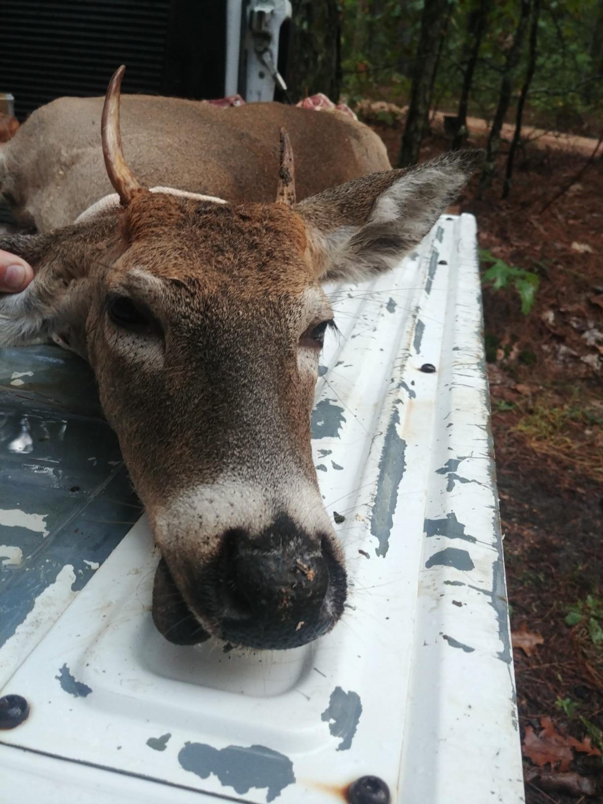 Muzzy Broadheads New Trocar Crossbow customer photo 1
