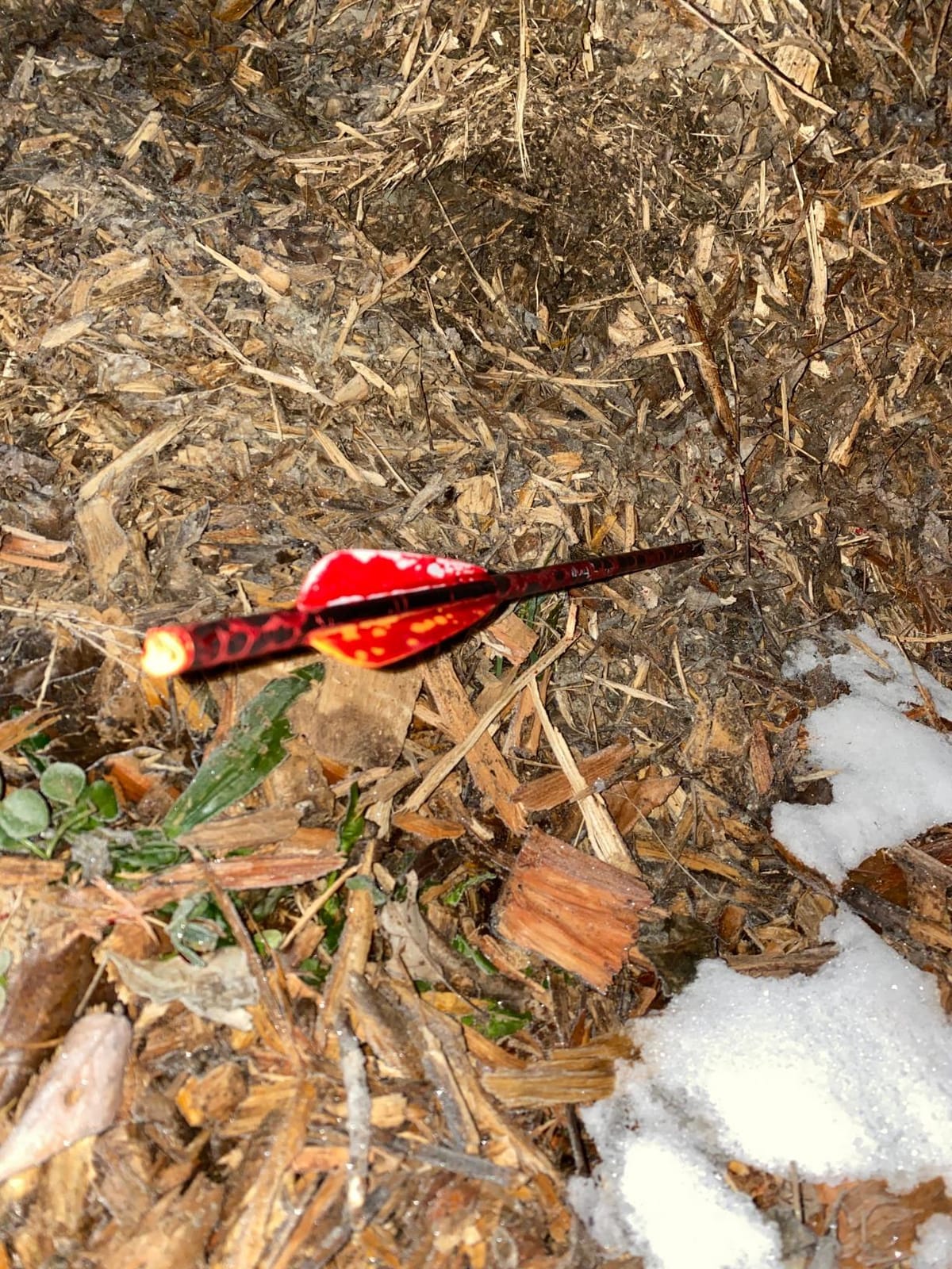Rage Crossbow X, 2-Blade Archery Arrow Broadhead, 100 Grain with Shock Collar Technology (3-Pack) customer photo 1