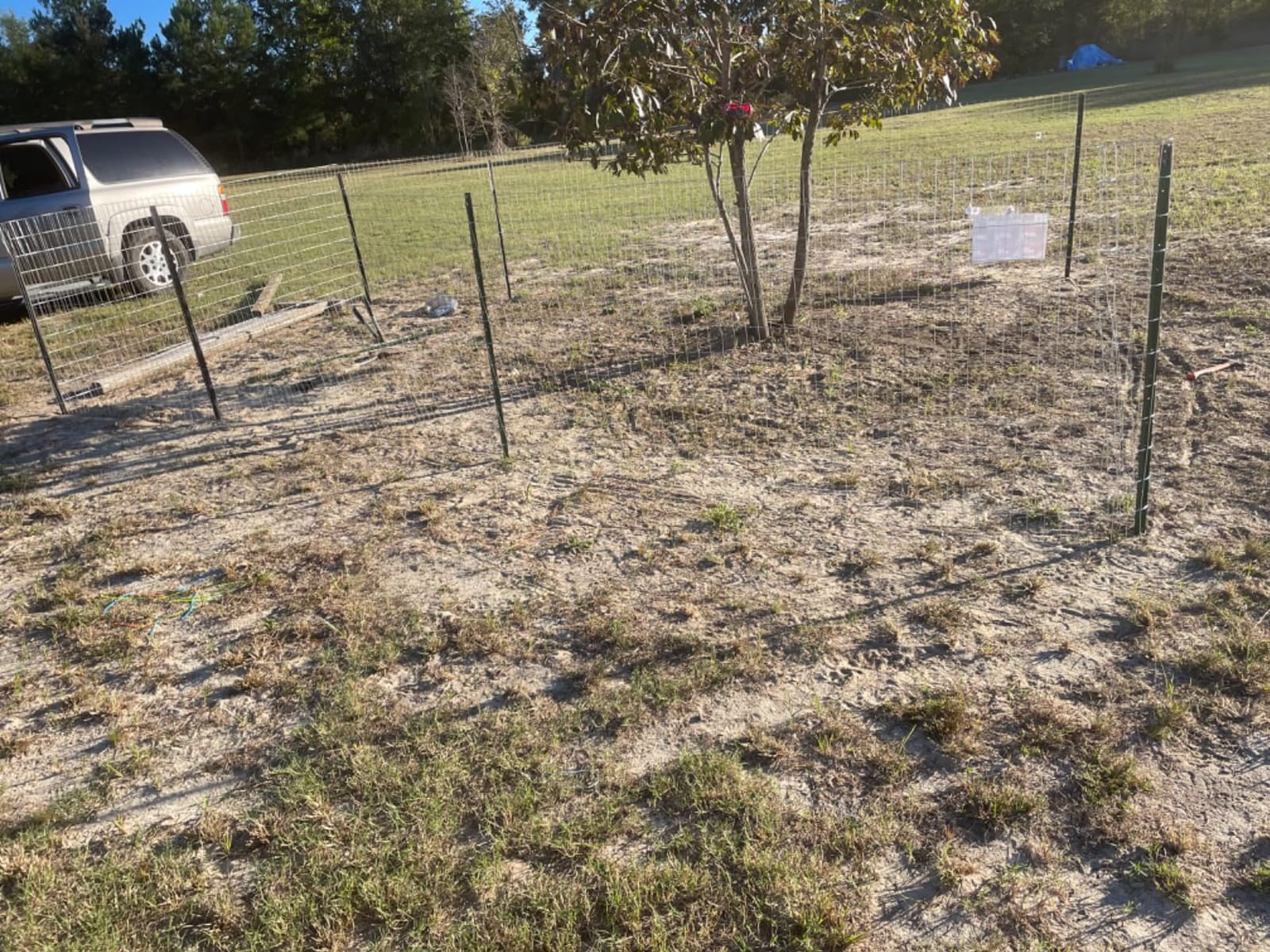 YARDGARD 2 in. x 4 in. Mesh Welded Wire Fence Roll, 48 in. x 50 ft., 14-Gauge Galvanized Steel Fence for Animal Enclosures, Garden Protection and Property Fencing, Rabbit Control an Utility Fence customer photo 1
