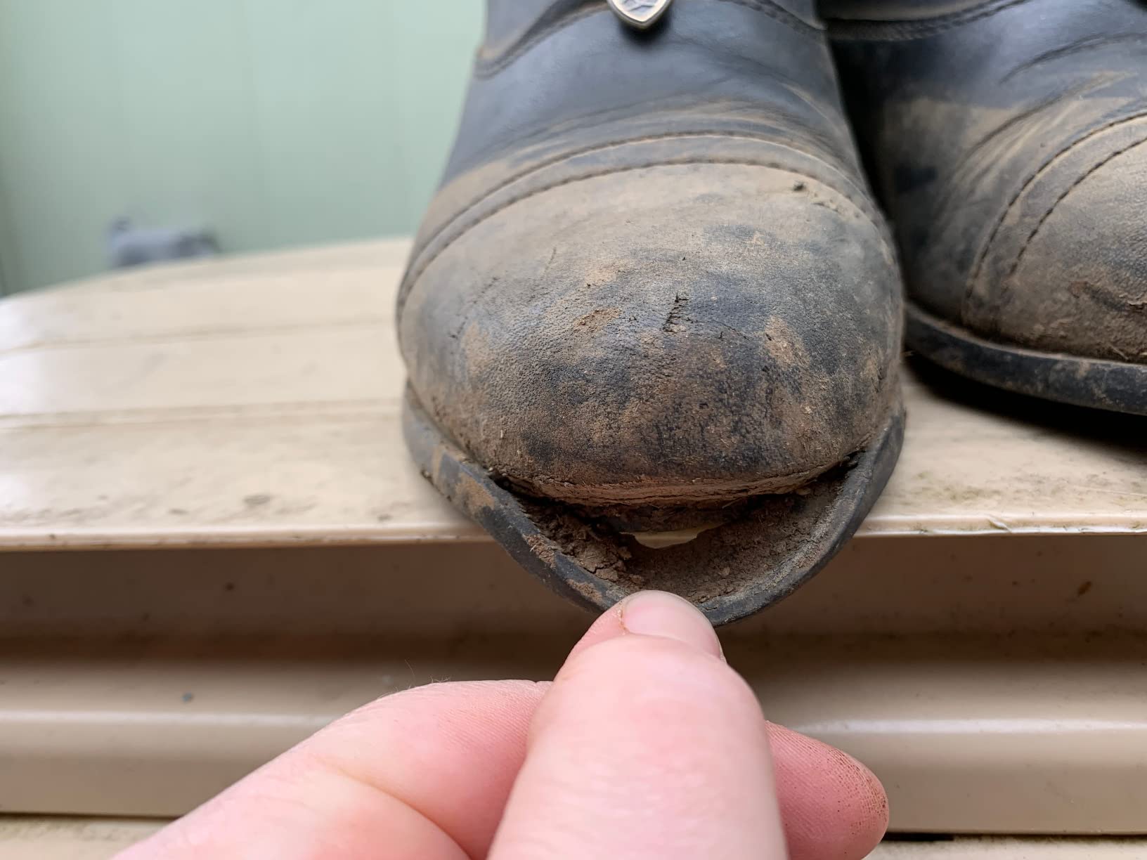 ARIAT Scout Zip Paddock customer photo 1