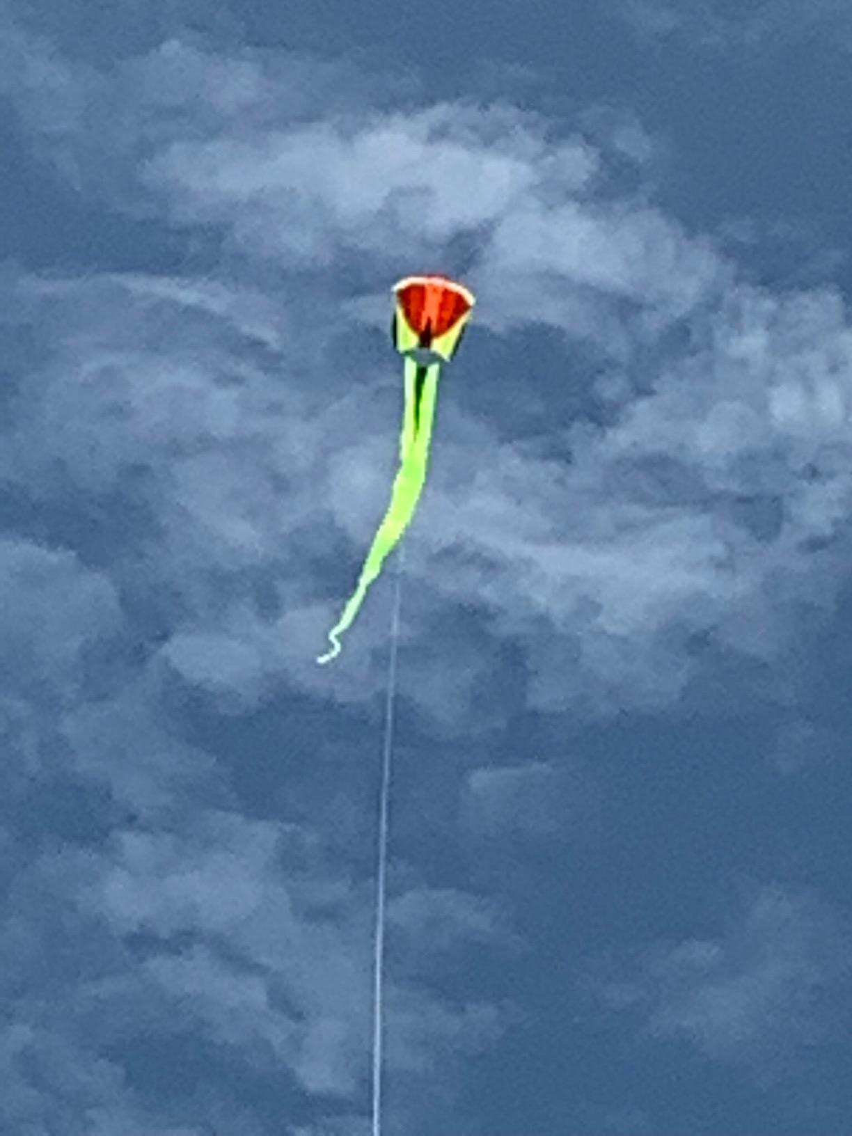 Prism Bora Single-line Parafoil Kite customer photo 1