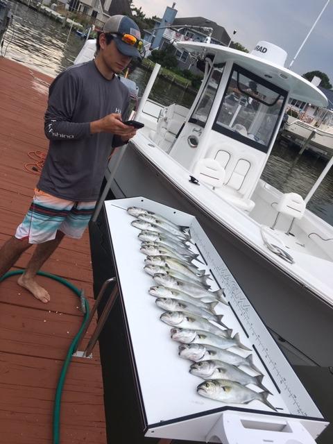 Magma Tournament Series Fish Cleaning Table - UV-Stabilized High-Density Polyethylene - 304 Stainless Steel Frame - Ruler, Knife Holders - Ideal Boat/Fishing Accessory - T10-449B customer photo 1