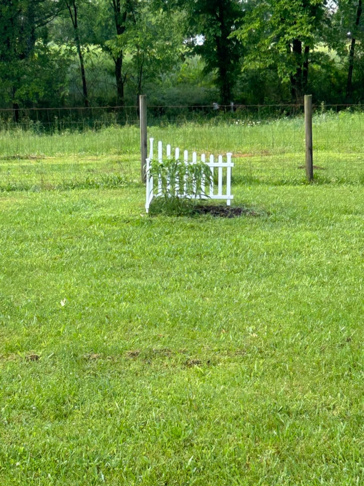 Zippity Ashley Corner Picket Fence, White Vinyl DIY No Dig Kit customer photo 1
