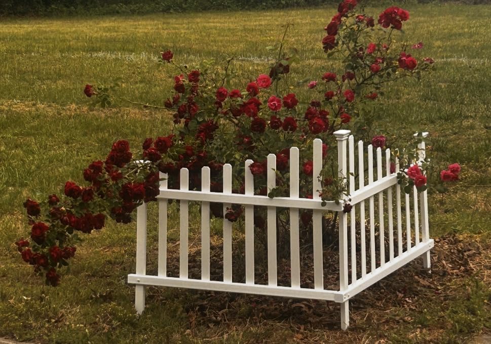 Zippity Ashley Corner Picket Fence, White Vinyl DIY No Dig Kit customer photo 2