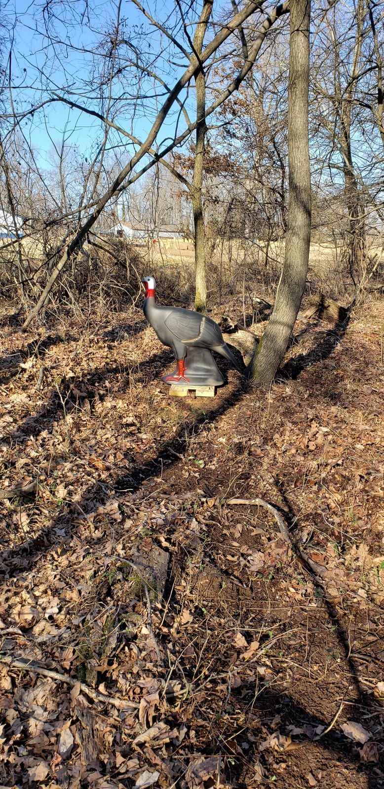 SHOOTER Turkey 3D Archery Target, Lifelike Solid Body Design for Realistic Practice, Scoring Ring in Vitals, Includes Ground Stakes, 32”H x 31.5” W Size customer photo 1