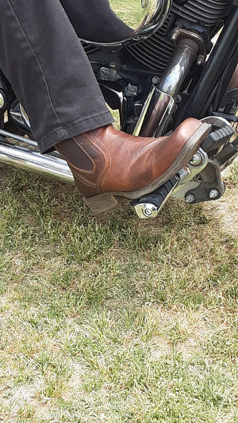 ARIAT Midtown Rambler customer photo 1