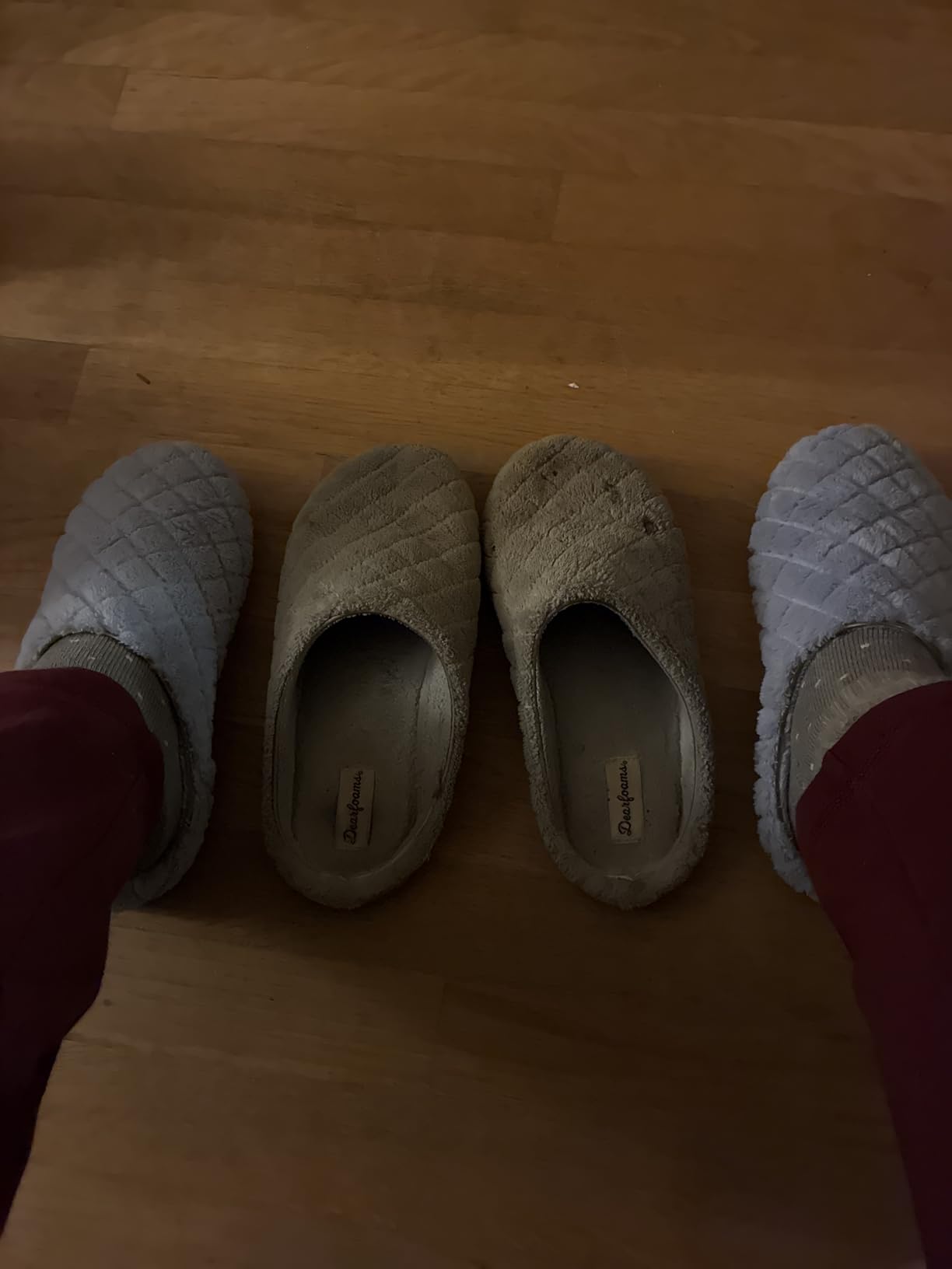 Leslie Terry Clog House Shoes with Memory Foam, Indoor Slippers with Wide Widths customer photo 2