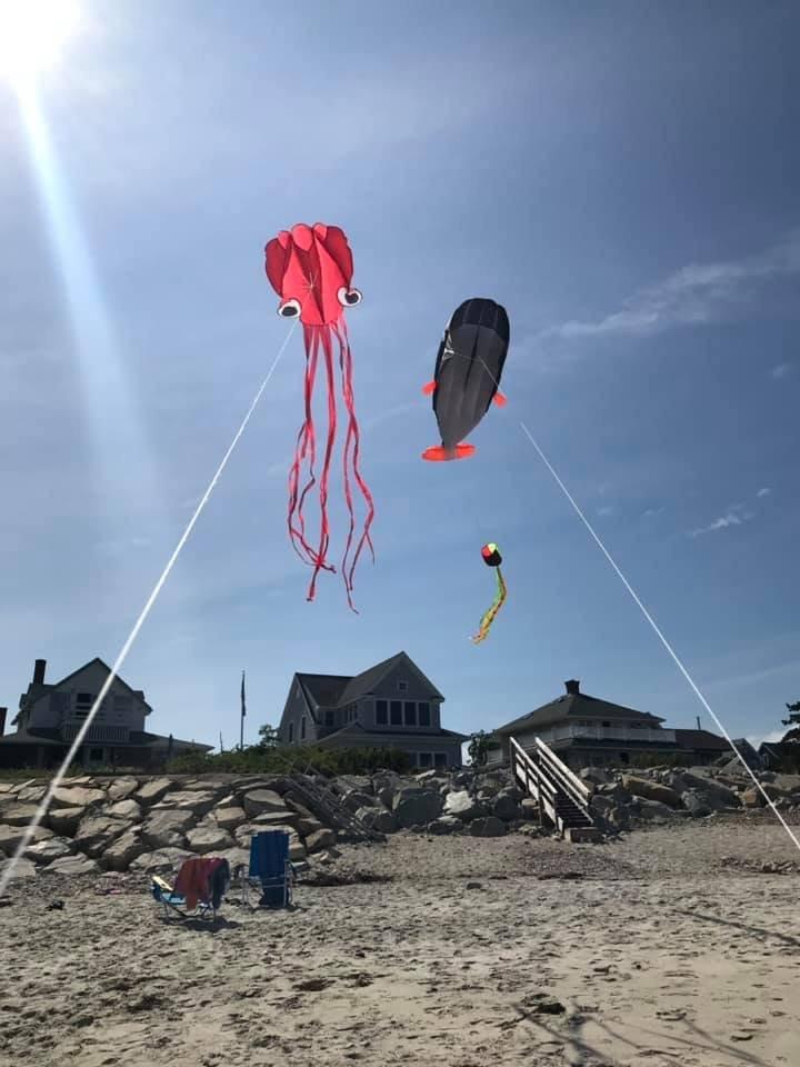 IMAGE Large 3D Blue Black Red Orange Dolphin Kite for Adult, 82.67in*10.62in Frameless Soft Parafoil Giant Kite Easy to Fly Beginners and Perfect for the Beach, Family Activity customer photo 1