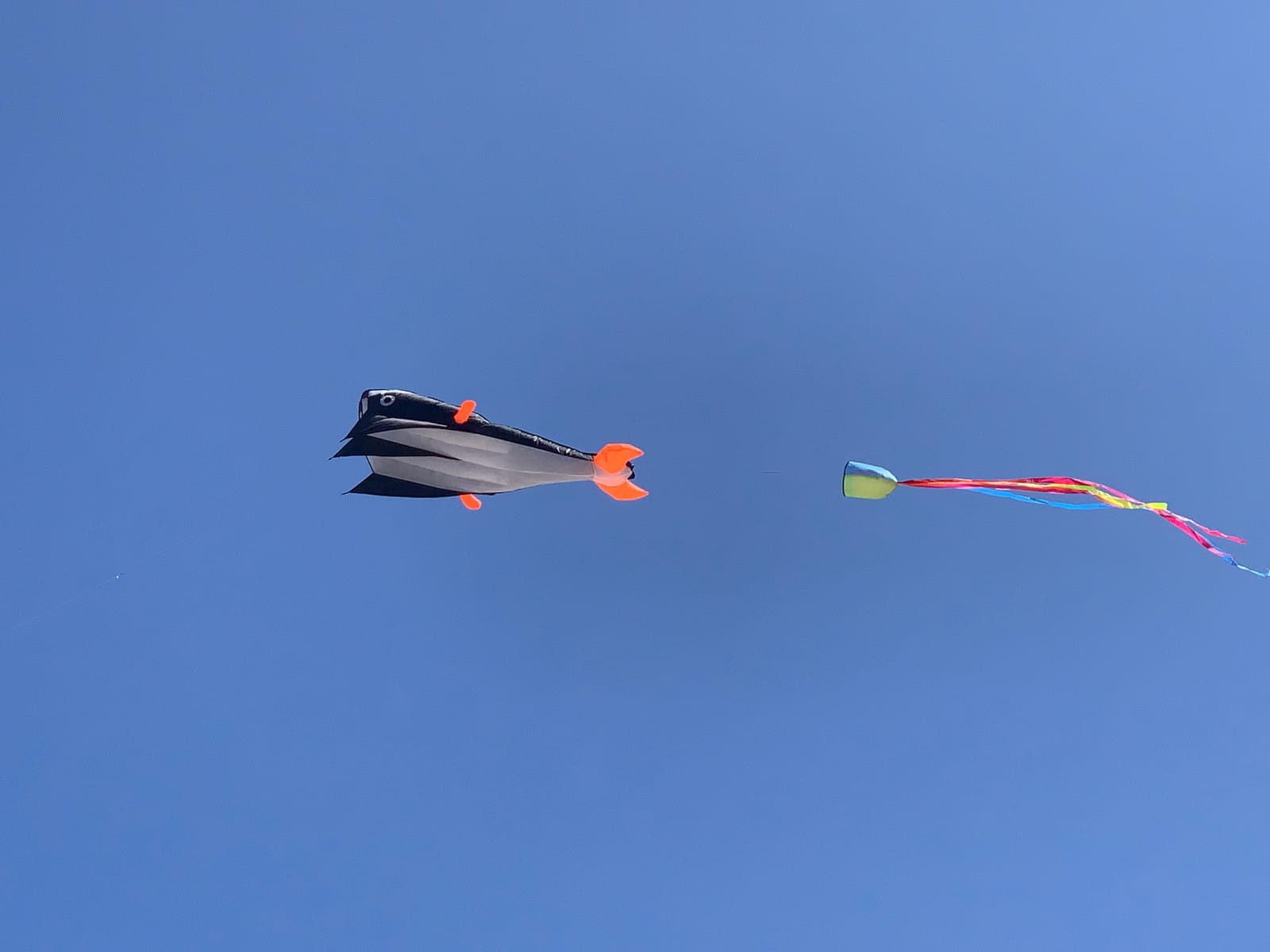 IMAGE Large 3D Blue Black Red Orange Dolphin Kite for Adult, 82.67in*10.62in Frameless Soft Parafoil Giant Kite Easy to Fly Beginners and Perfect for the Beach, Family Activity customer photo 2