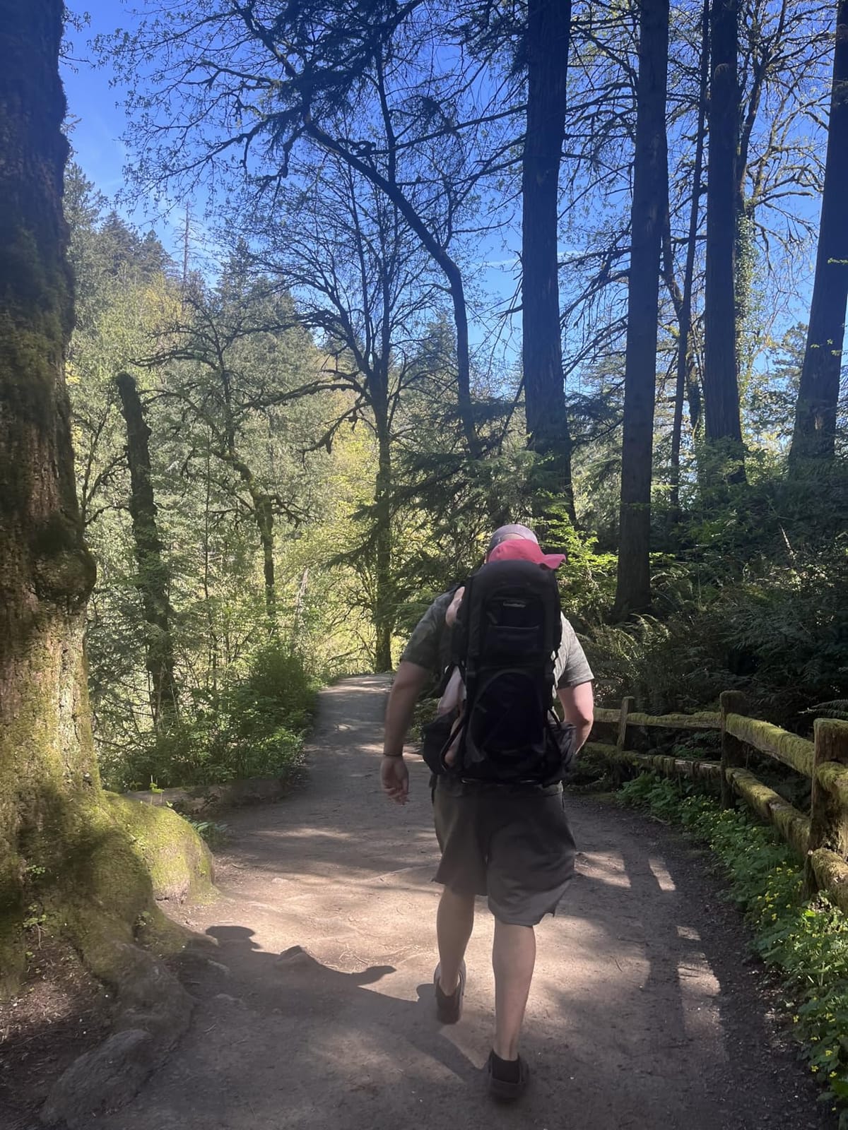 Hiking Baby Carrier Backpack - Toddler & Child Carrier customer photo 1