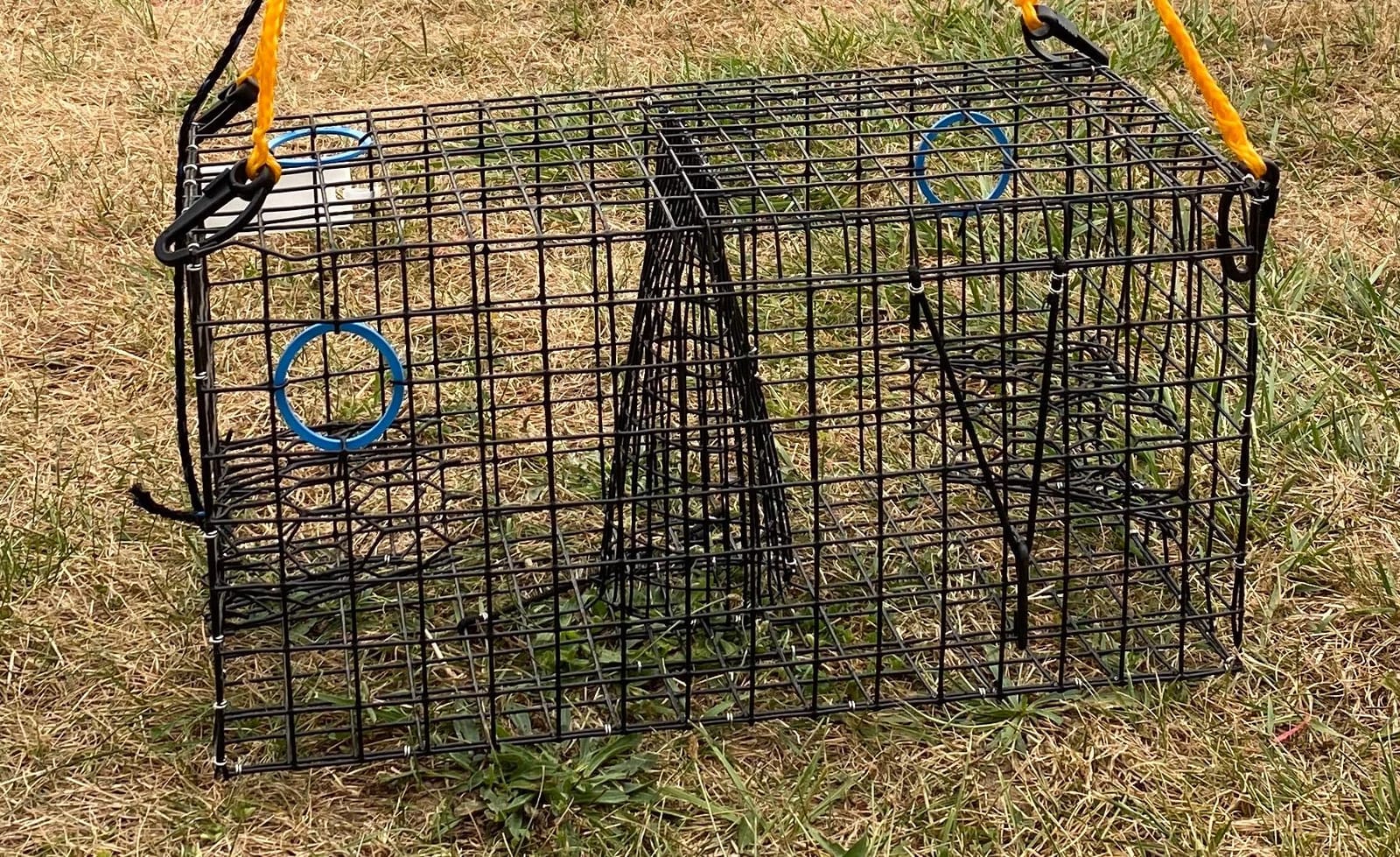 Maryland Blue Crab Pot Trap, PVC Coated Wire mesh, Heavy Duty, Two T.E.D. (Turtle Excluder Device), Two Escape Rings, Float, Rope, Ready for use. Come with Crab & Lobster Measure Gauge. Made in USA customer photo 2