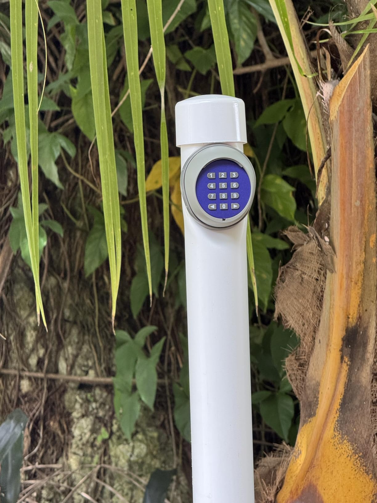 CO-Z Security Wireless Automatic Code Entry Gate Keypad Remote Operator Panel Control for Sliding Gate Opener Motor customer photo 1