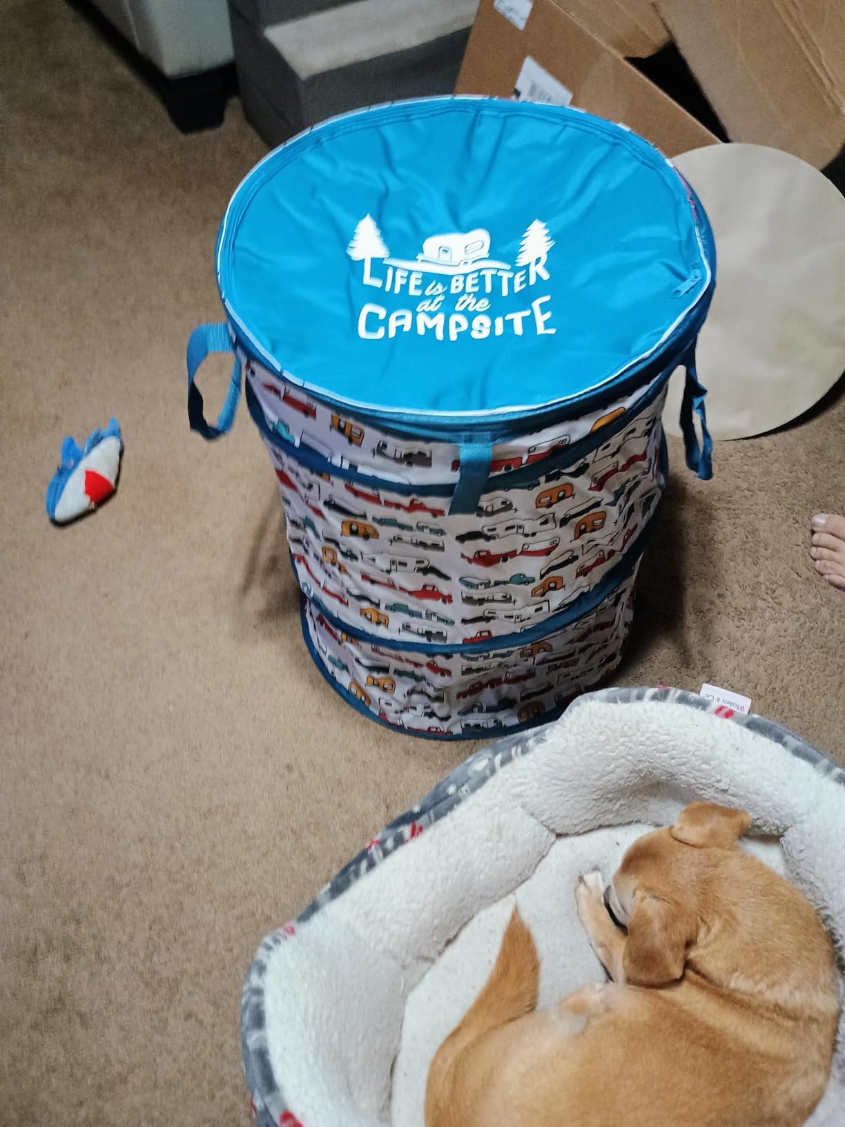Camco Life is Better at the Campsite Pop-Up Recycle Container, 24