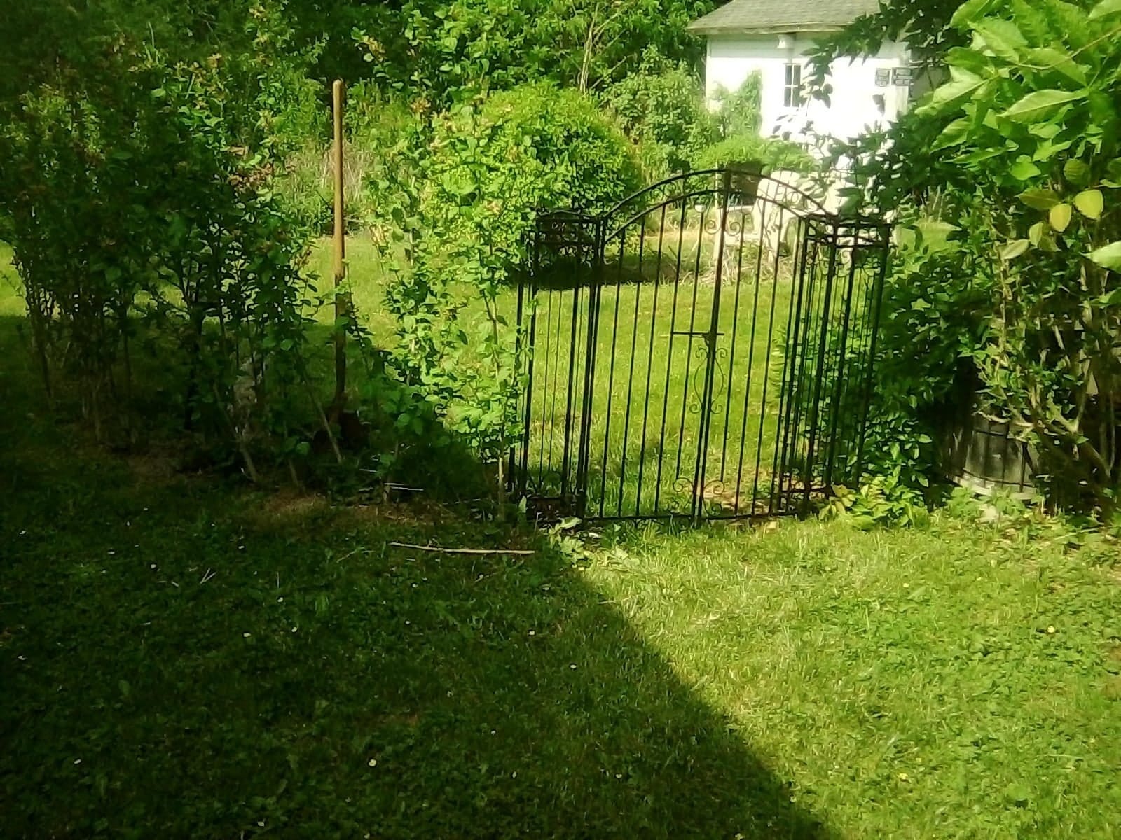 vidaXL Garden Gate 4'x8 x4'5 Wrought Iron Ornamental Outdoor Estate Entryway customer photo 2