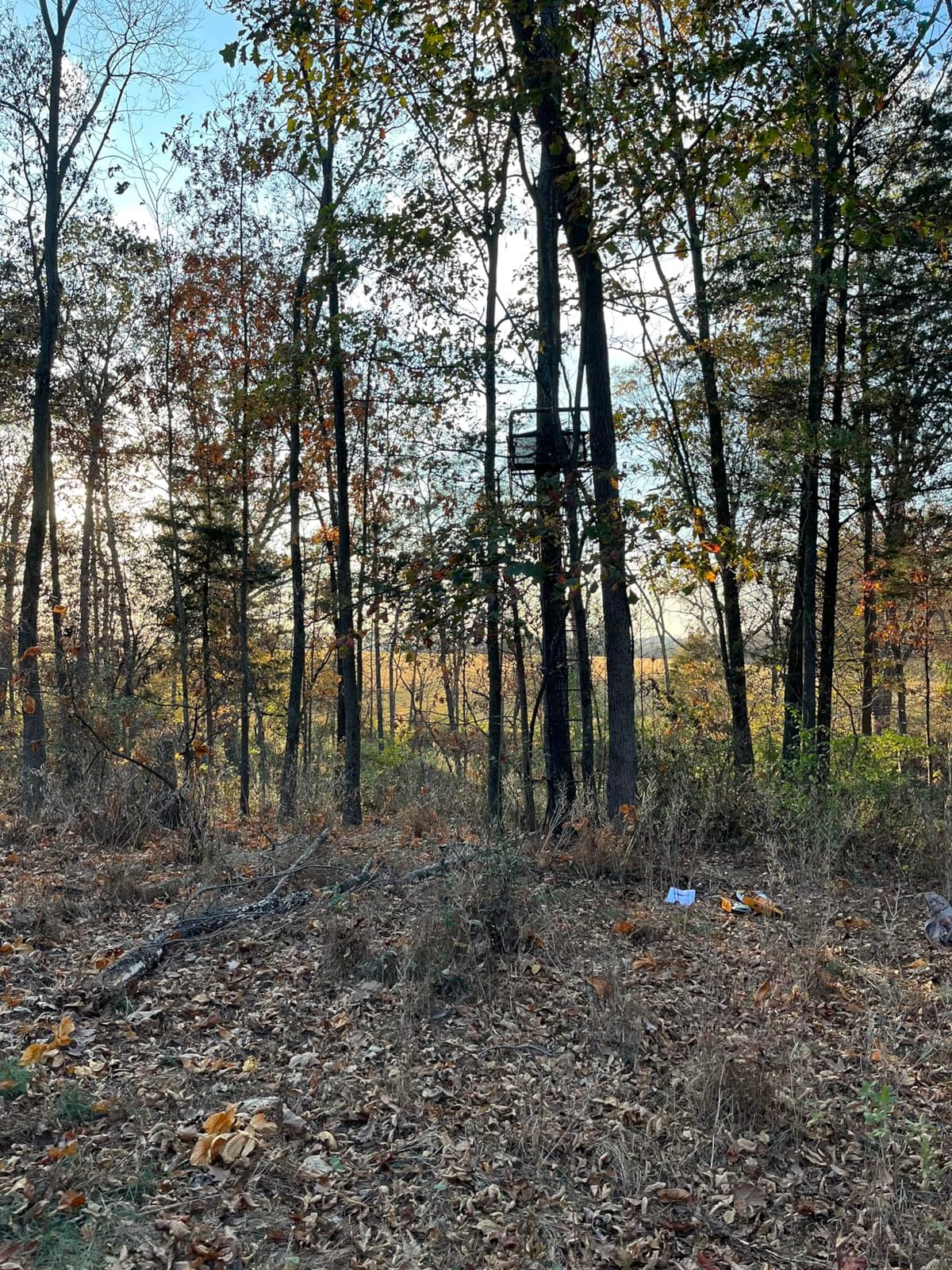 BIG GAME Ladder Tree/Tripod Stand for Hunting Deer customer photo 1