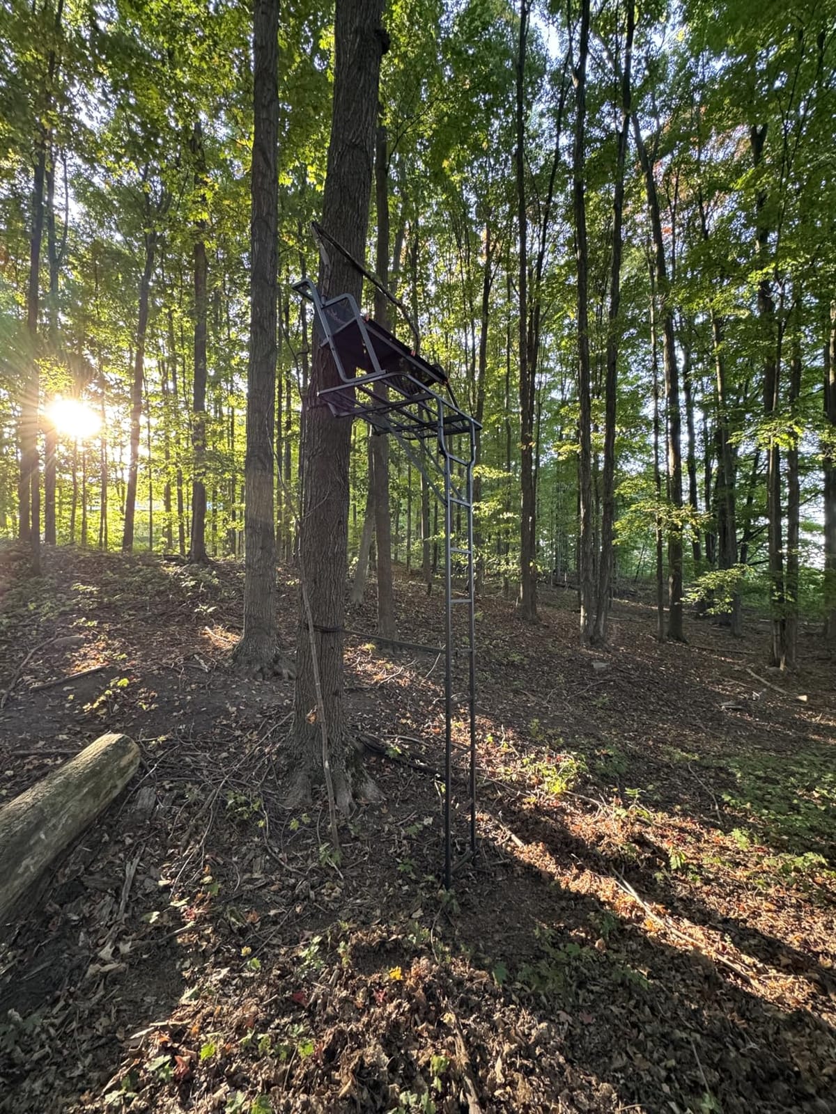 BIG GAME Ladder Tree/Tripod Stand for Hunting Deer customer photo 2