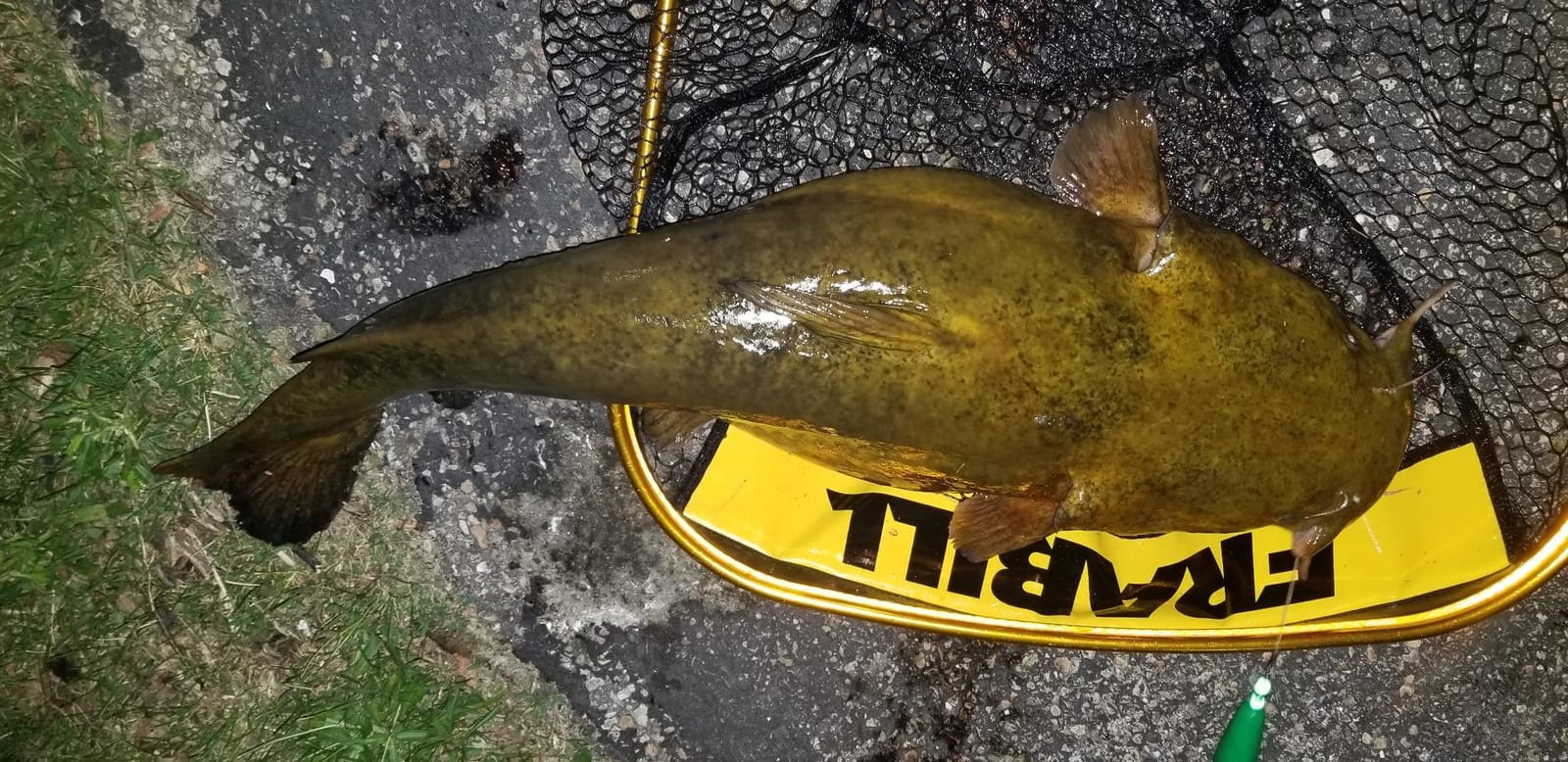 Frabill Trophy Haul Nets customer photo 2