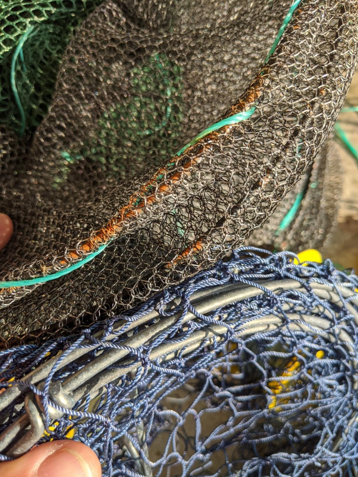 Fishing Bait Trap, 2 Packs Crab Trap Minnow Trap Crawfish Trap Lobster Shrimp Collapsible Cast Net Fishing Nets Portable Folded Fishing Accessories, 12.6X20.1inches customer photo 1