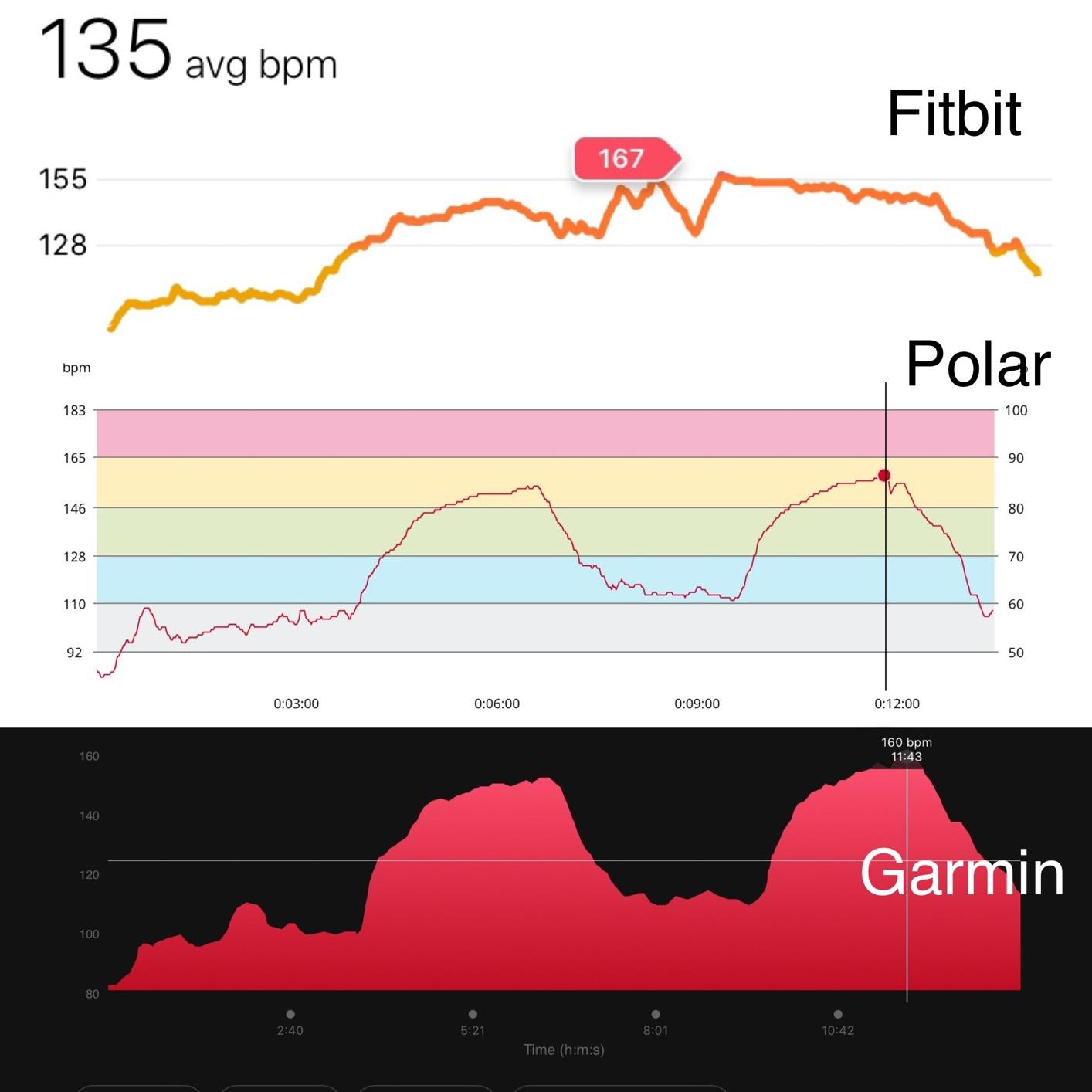 Garmin vivoactive 4S, Smaller-Sized GPS Smartwatch, Features Music, Body Energy Monitoring, Animated Workouts, Pulse Ox Sensors, Rose Gold with White Band customer photo 2