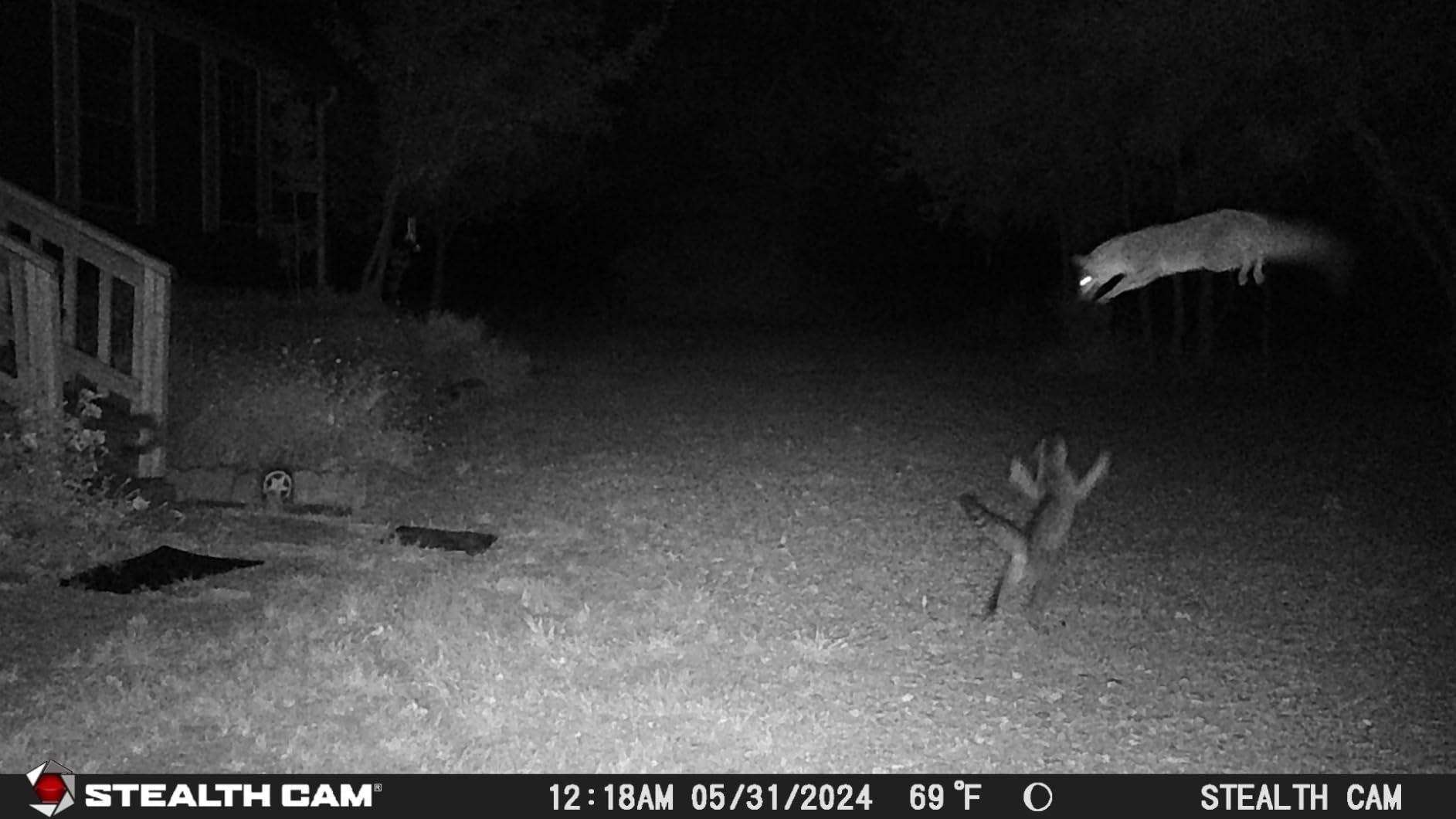 Stealth Cam 2020 G42NG 24MP No-Glow Flash Bundle (Kryptek Camo) customer photo 2