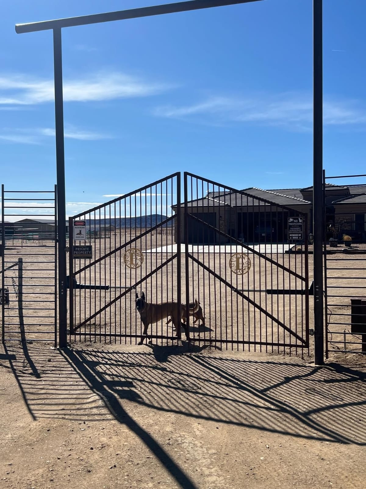 TOPENS AT1202 Dual Swing Gate Opener Heavy Duty customer photo 2