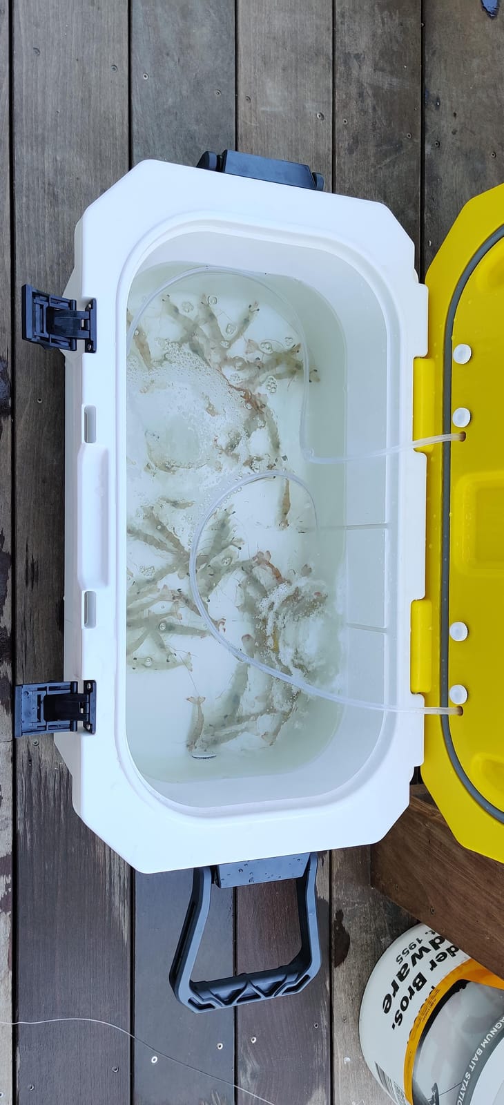 Frabill Magnum Bait Station 30 | 30 Quart Bait Cooler with Dual Aeration, White and Yellow customer photo 2