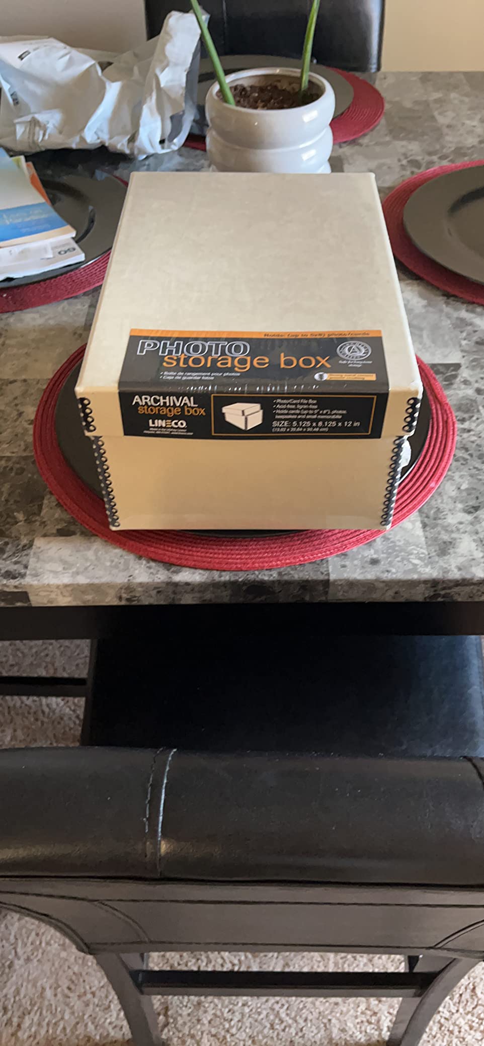 Lineco Archival Photo Card Box, Museum-Quality Storage, 5x8x12 Inch, Tan | Acid-Free with Removable Lid customer photo 1