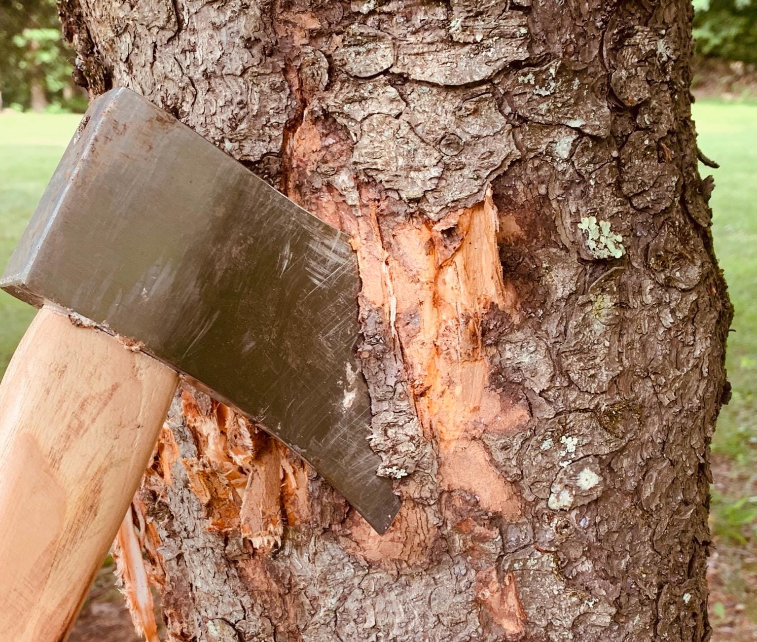 The Bad Axe: World Axe Throwing League Premium Competition Throwing Axe with Throwing Hatchet Nylon Sheath and Hickory Wooden Handle customer photo 1