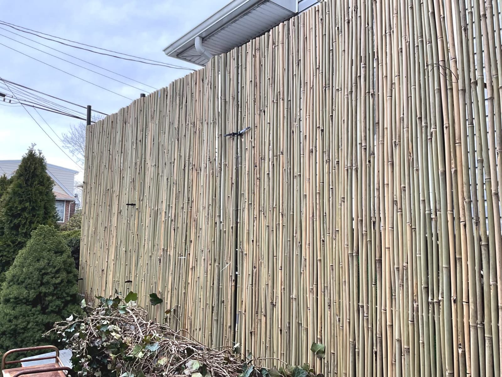 Mininfa Natural Rolled Bamboo Fence, Eco-Friendly Bamboo Fencing, 0.7 in D x 6 feet High x 8 feet Long, bambou Screen for Garden, Privacy customer photo 1